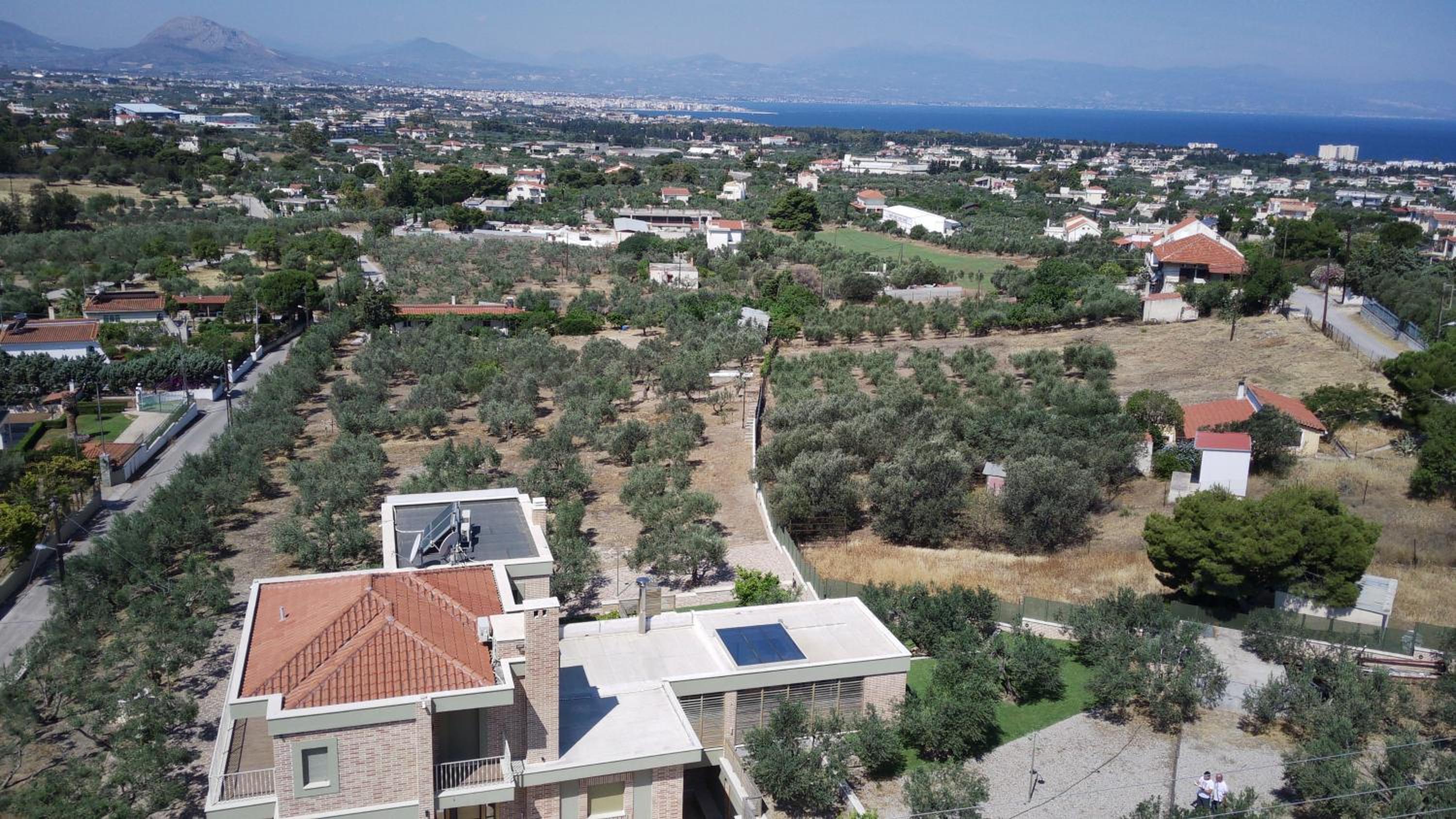 Aphrodite Villa