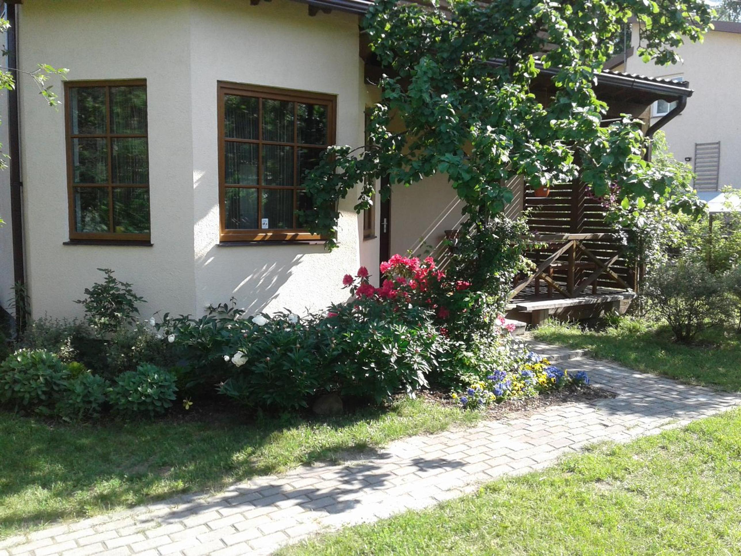 Photo 41