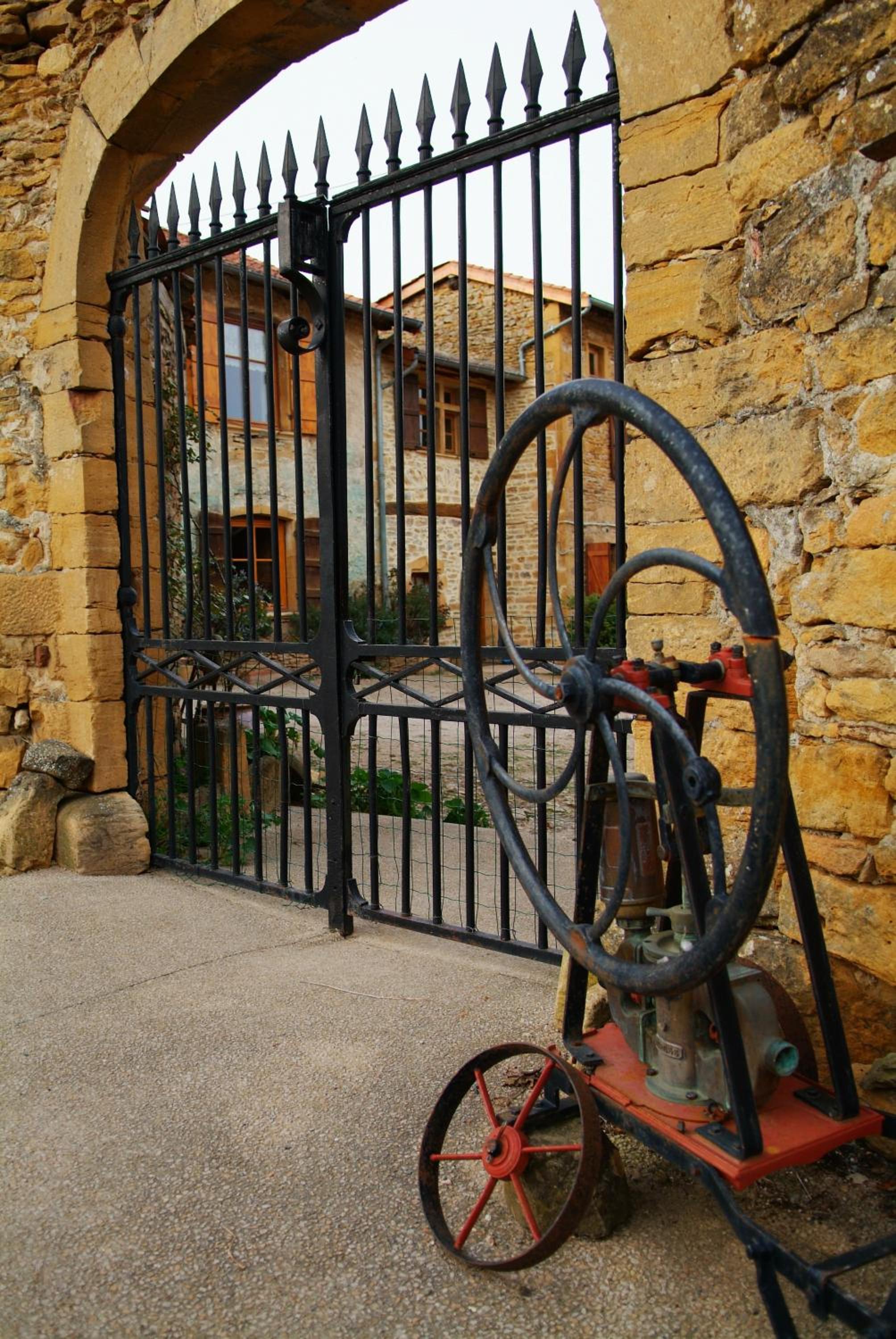 Photo 6