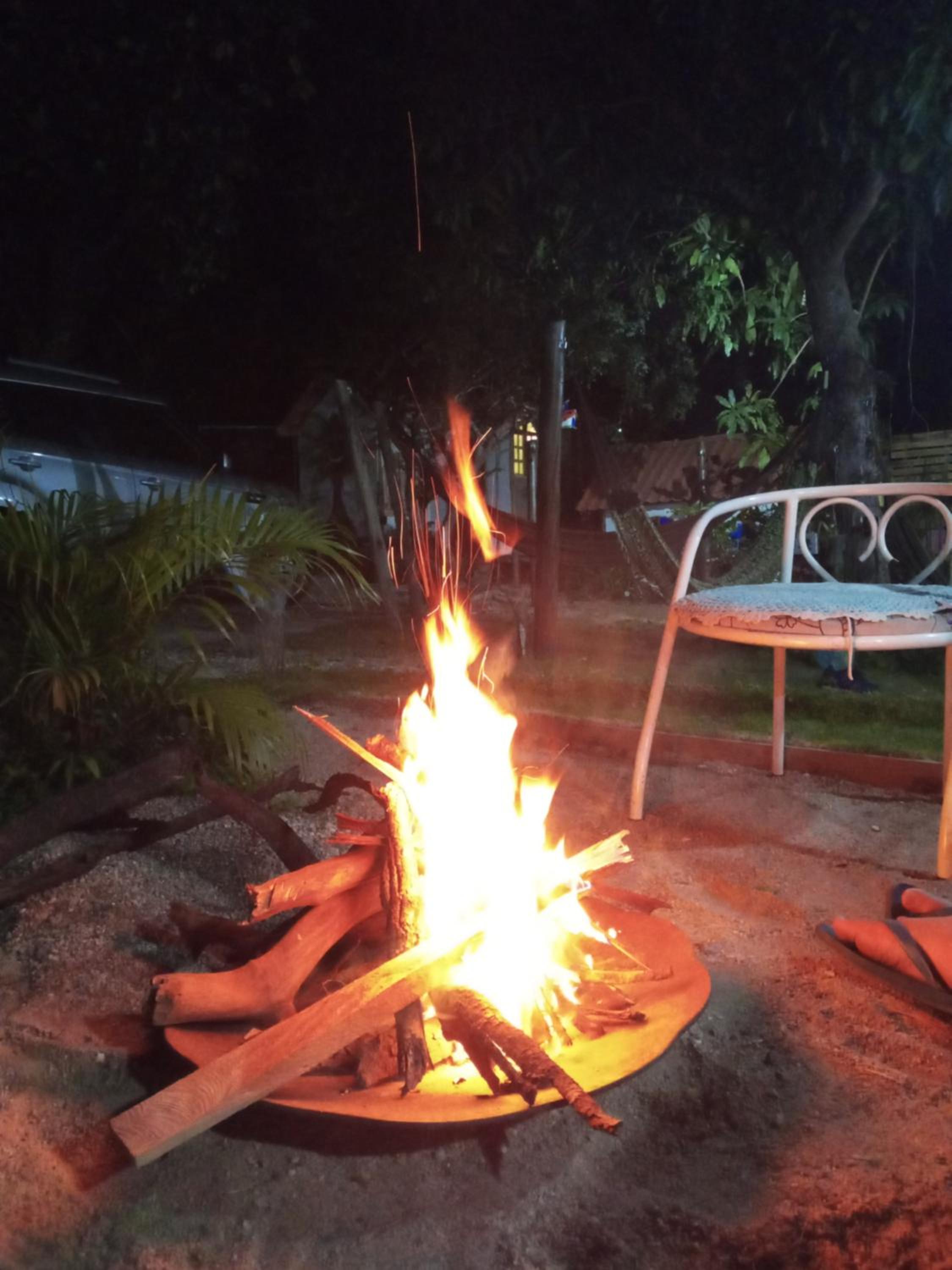 Photo 19