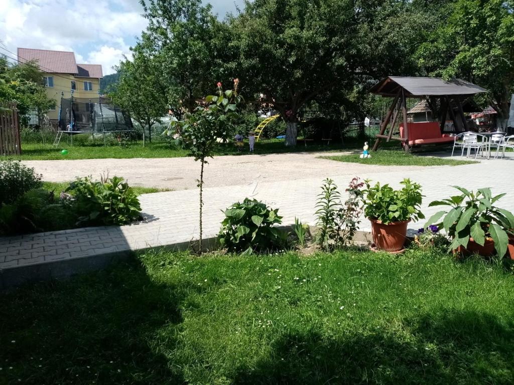 Photo 26