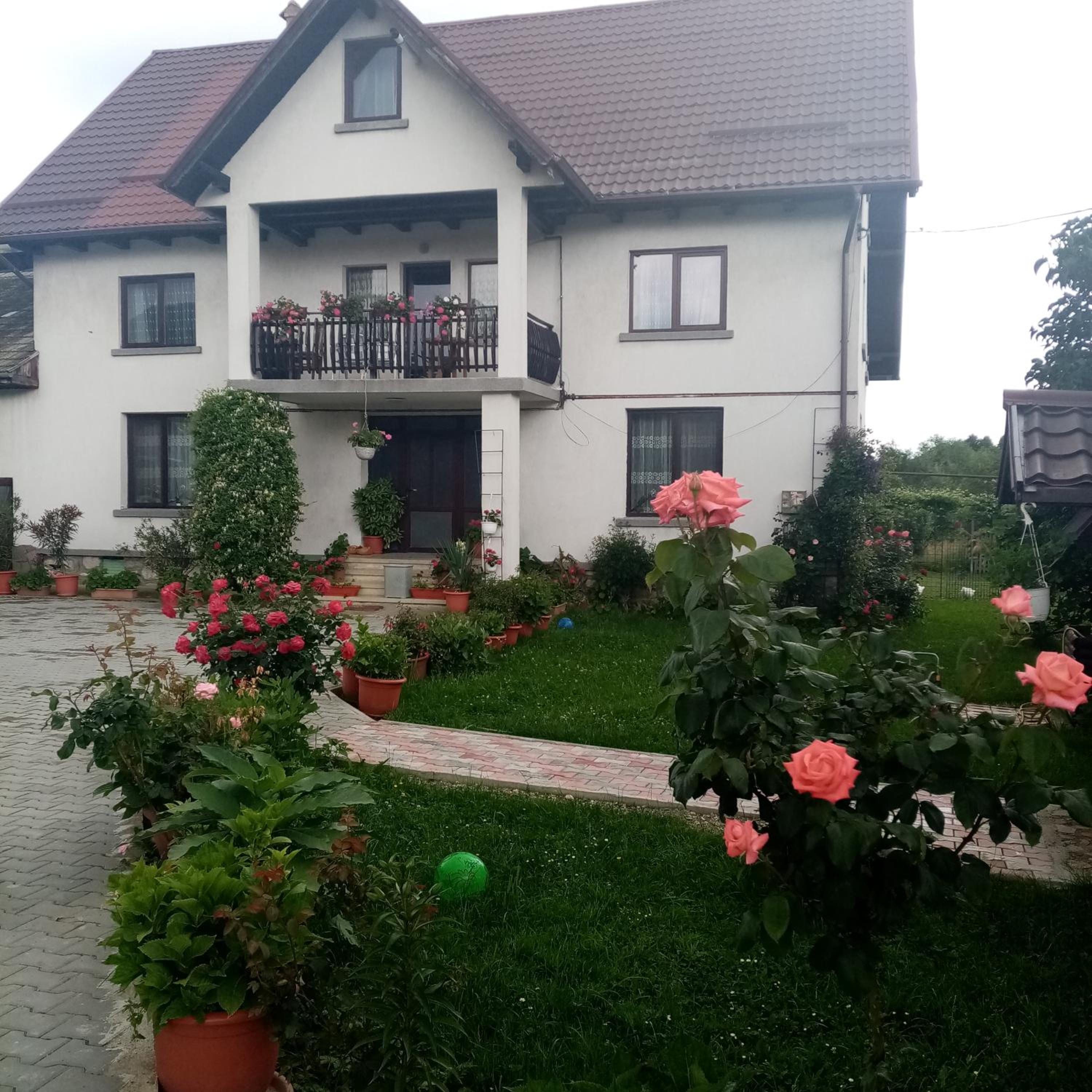 Photo 27
