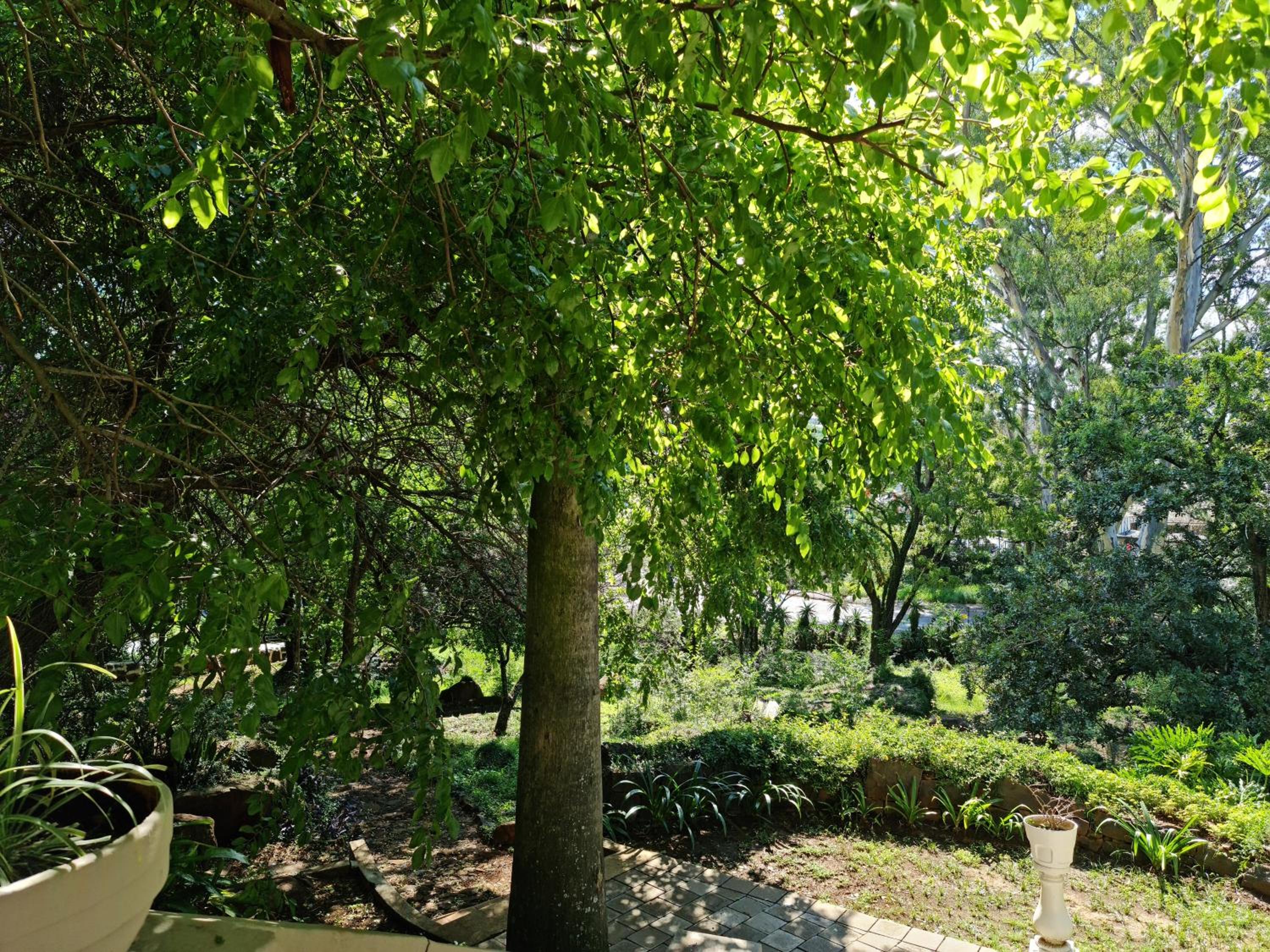 Photo 49