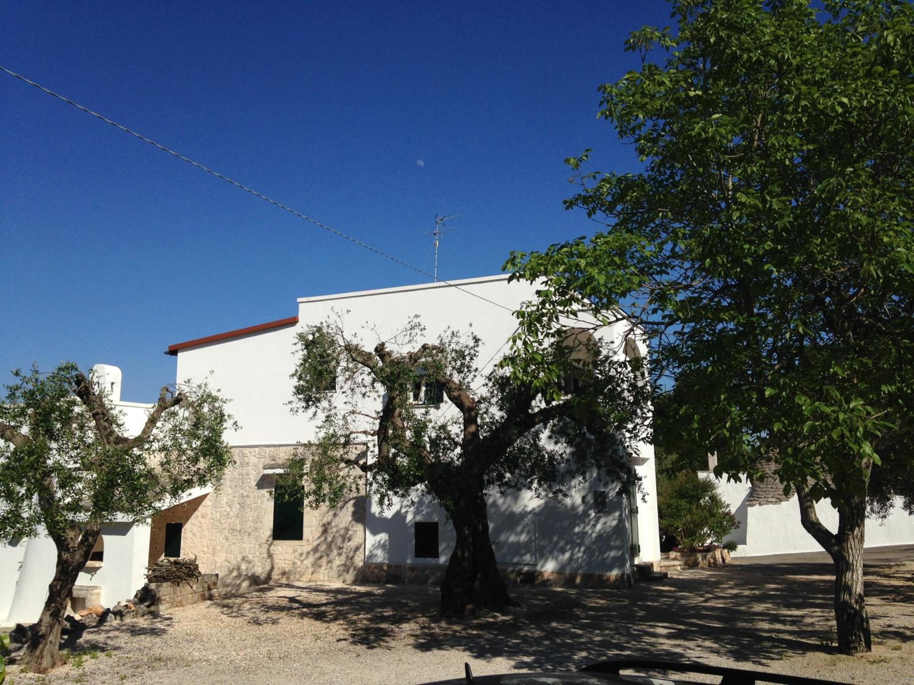 Photo 28