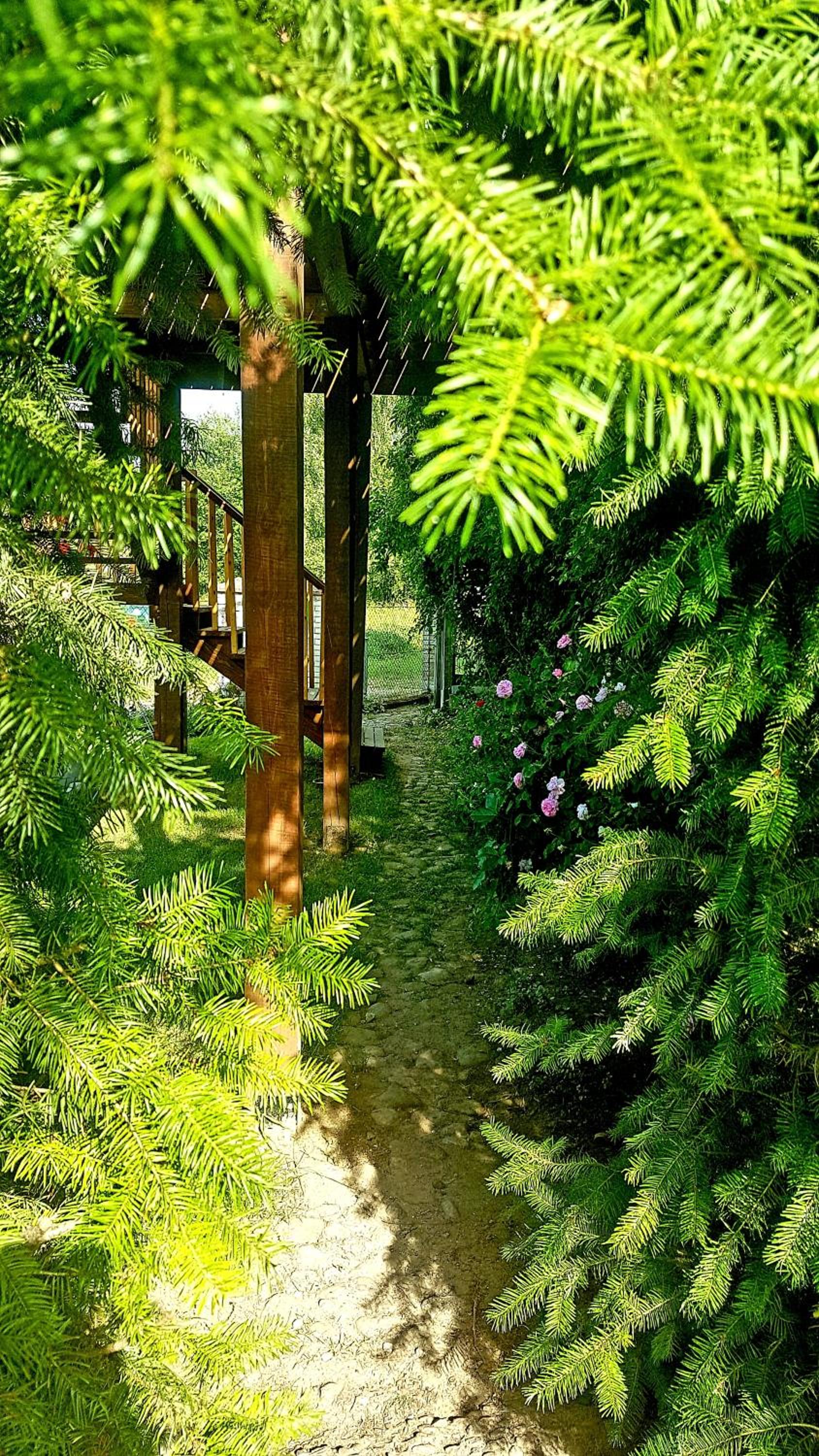 Photo 41