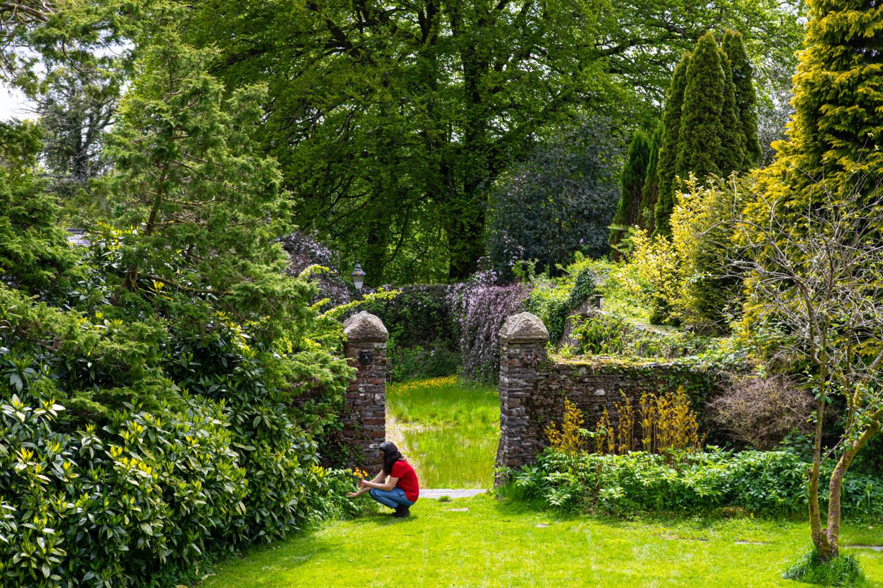 Swansea Valley Holiday Cottages