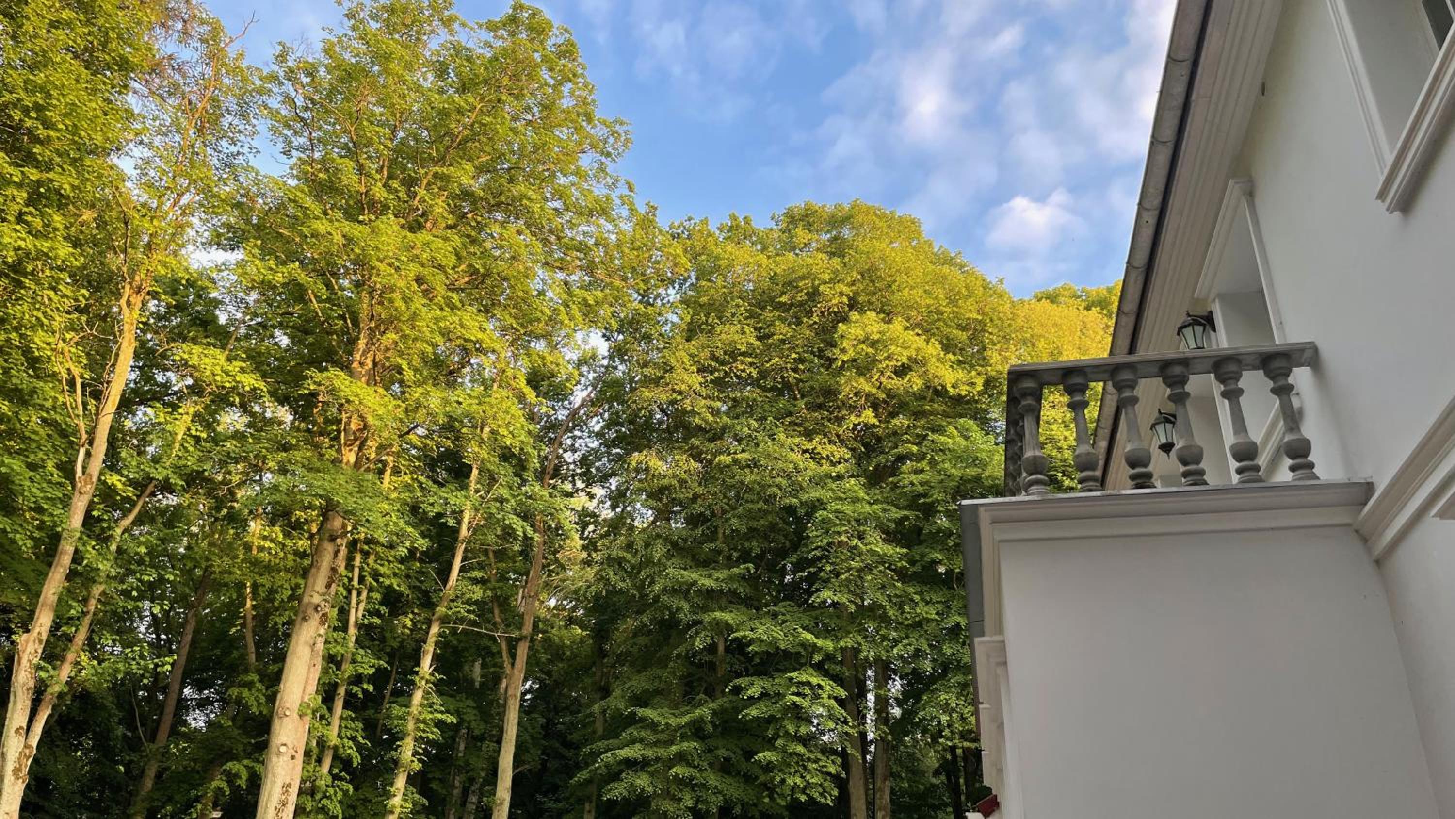Villa ANSER, photo 27