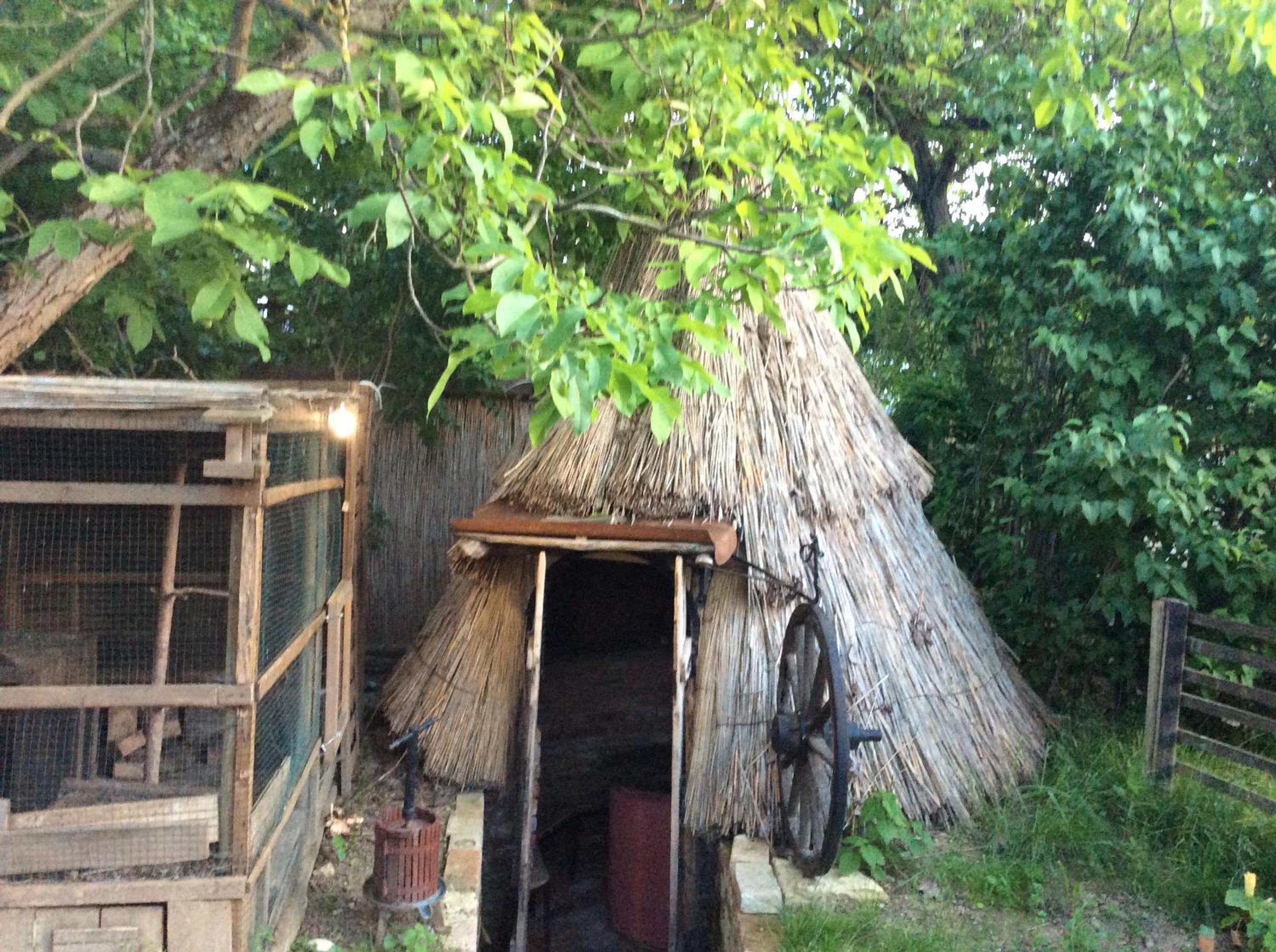 Photo 42