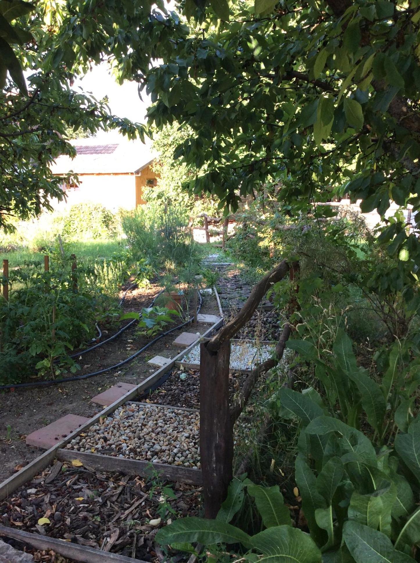 Photo 48