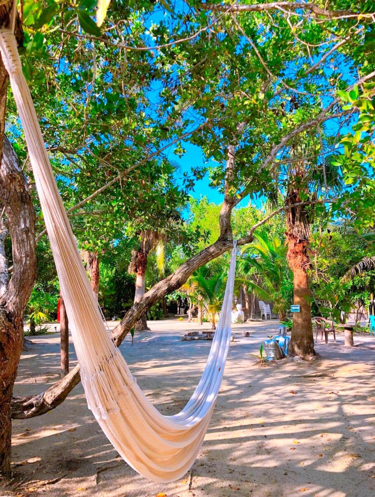 La Aldea Holbox Cabañas y Camping view 4