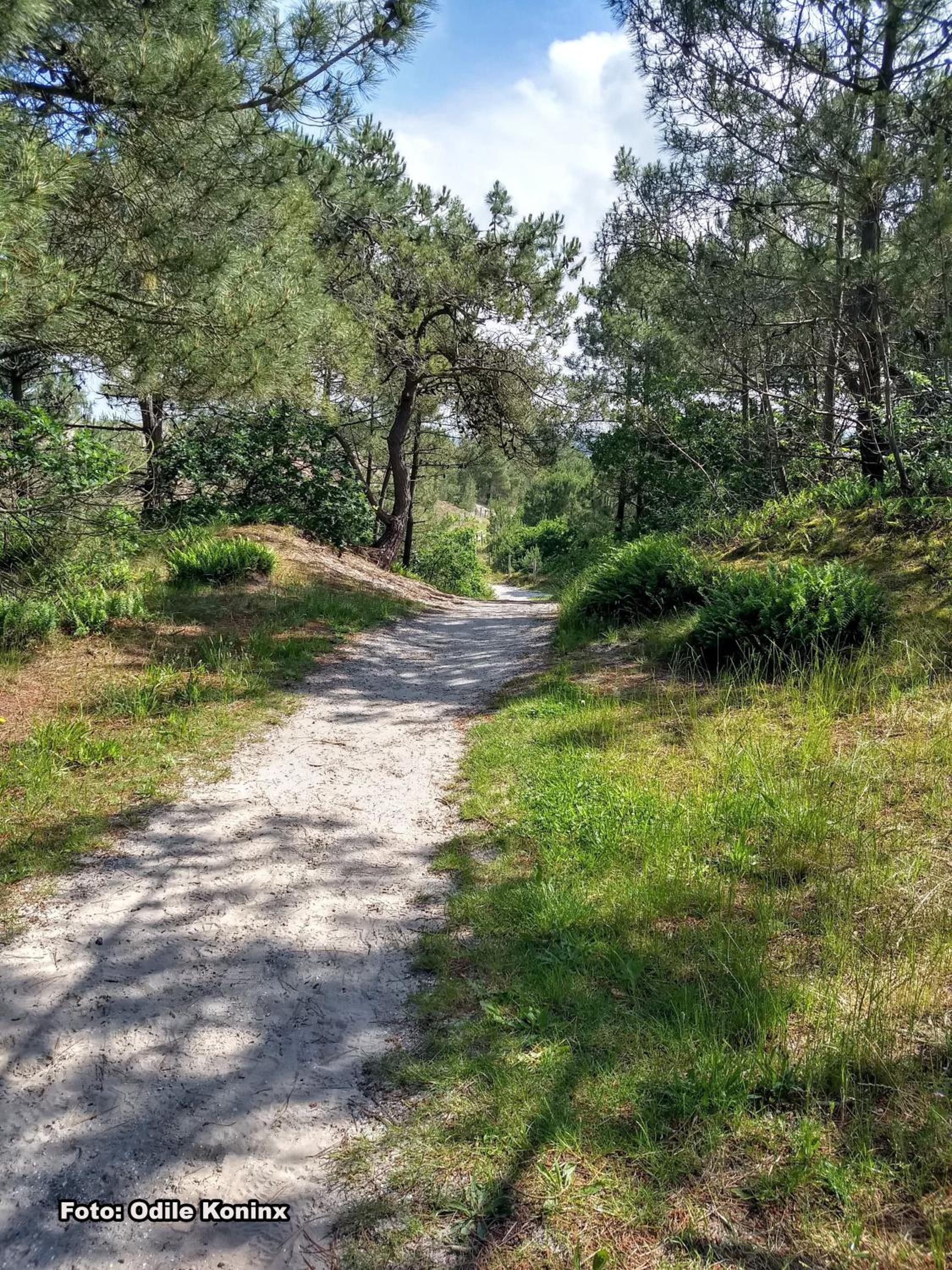 Klein Heemshof - Noord Holland aan uw voeten