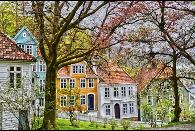 Bergen Vacations - Lille vregate - Property Image 12