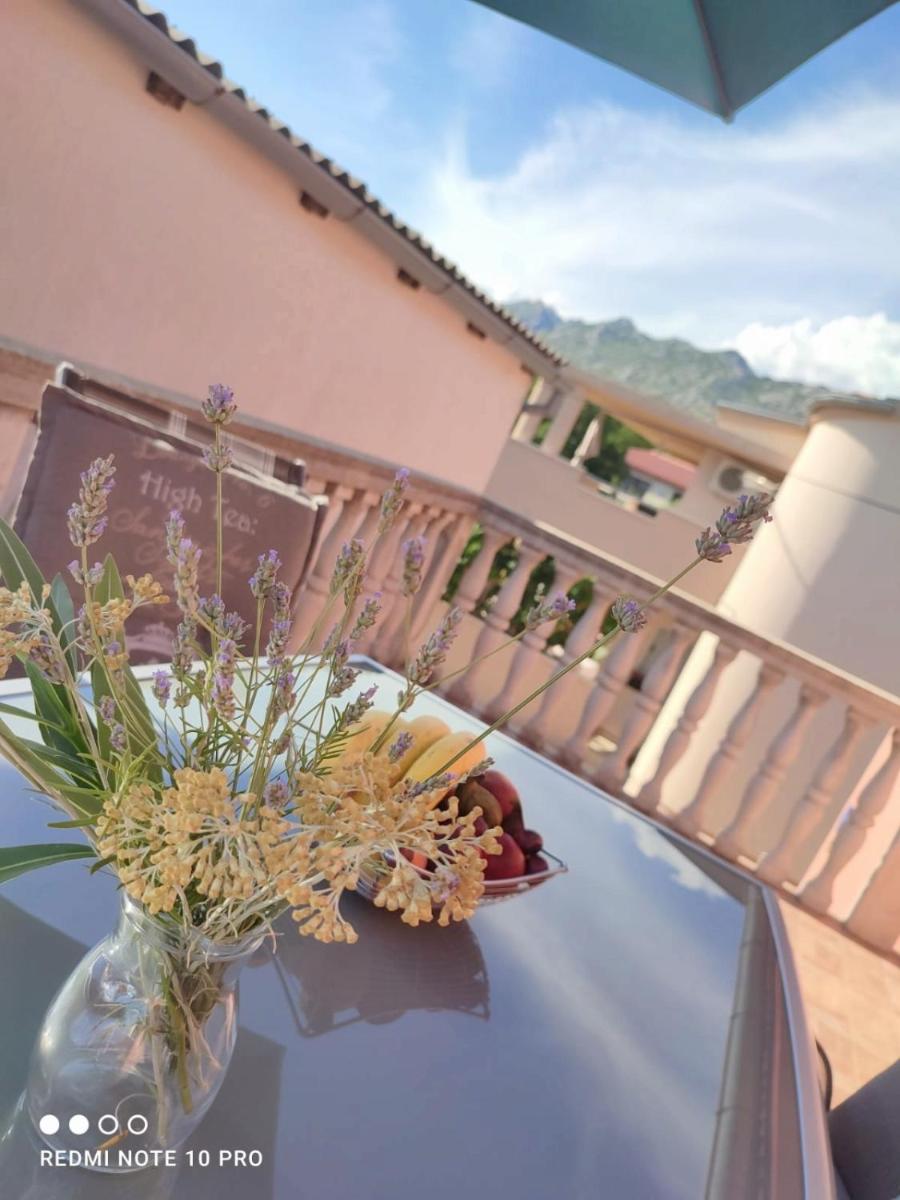 Hotel APARTMAN MAJSTOROVIĆ - Image 1