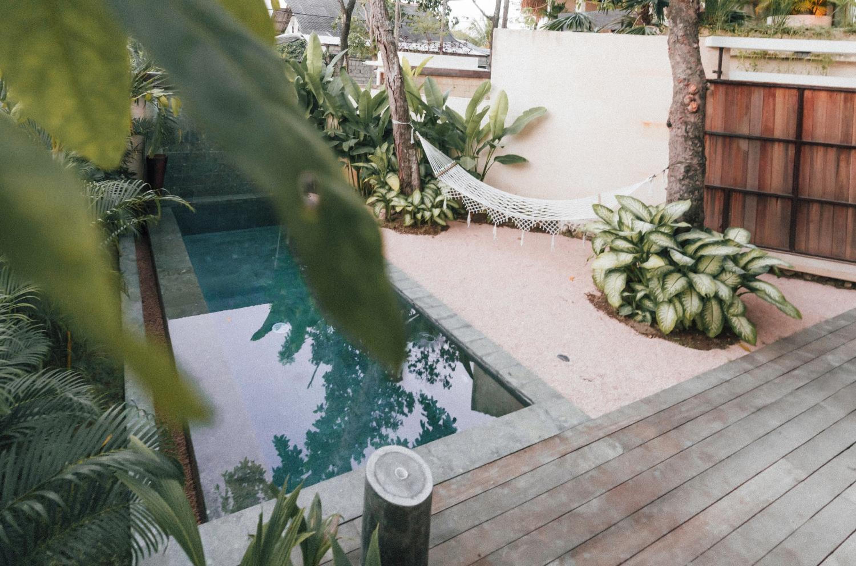AMMA Oasis