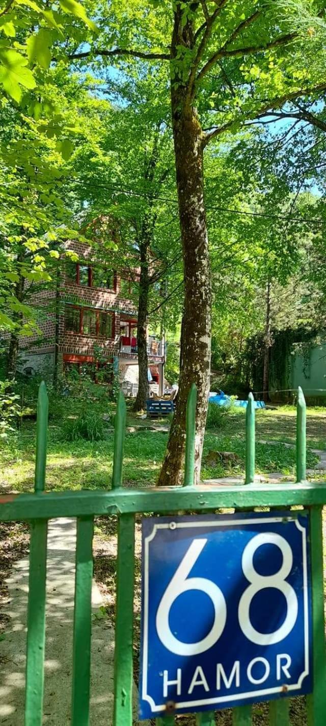 Photo 23