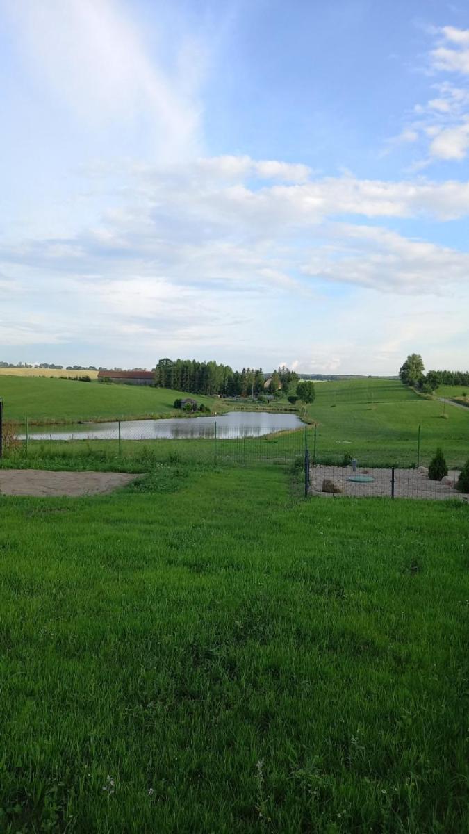 Photo 42