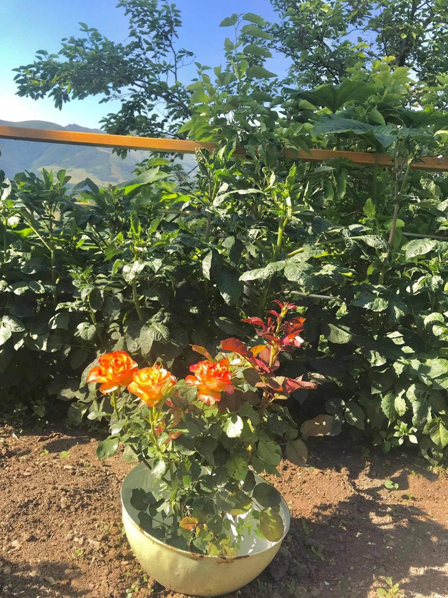 Ana-Maria Bnb