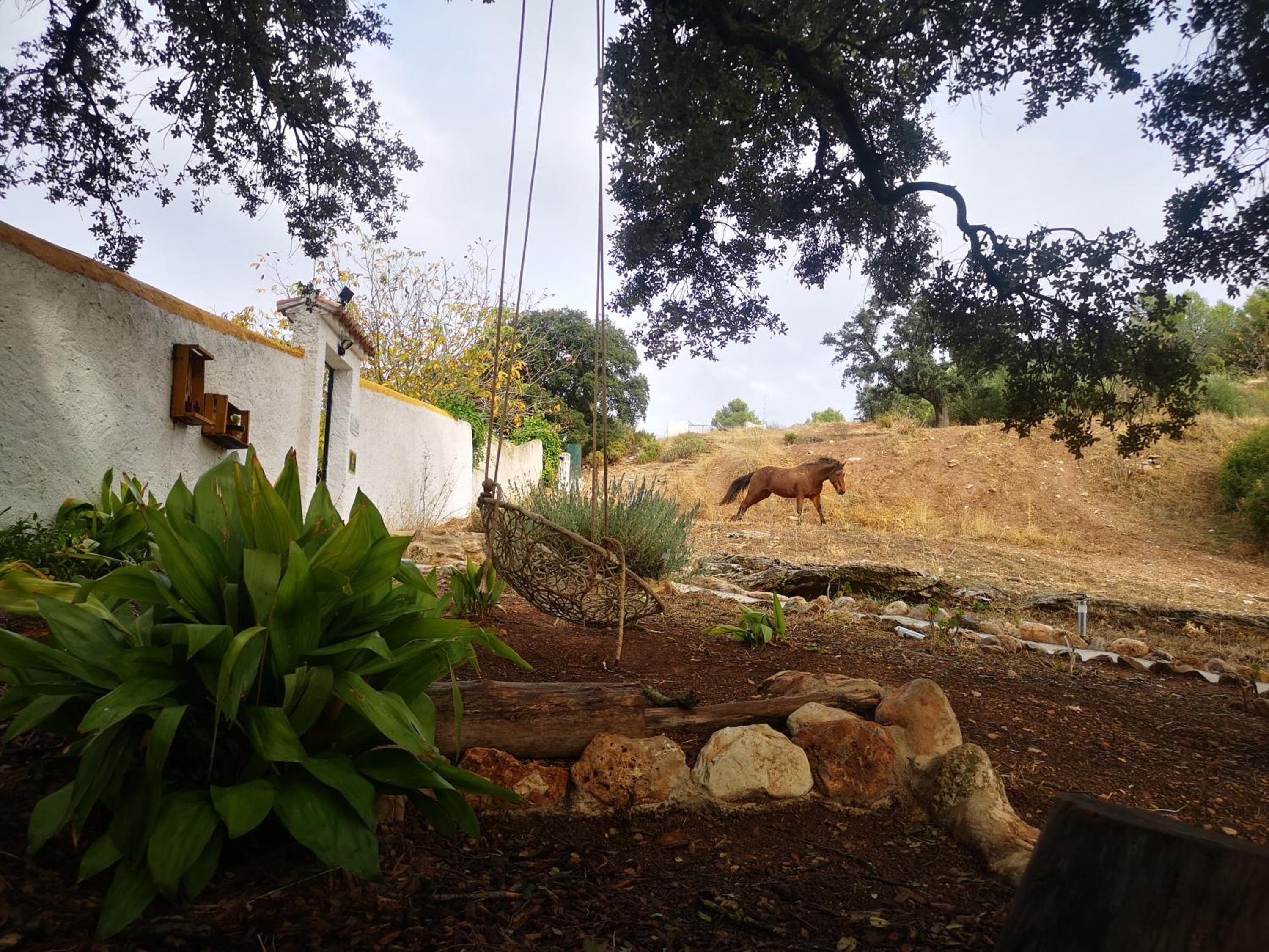 Photo 21
