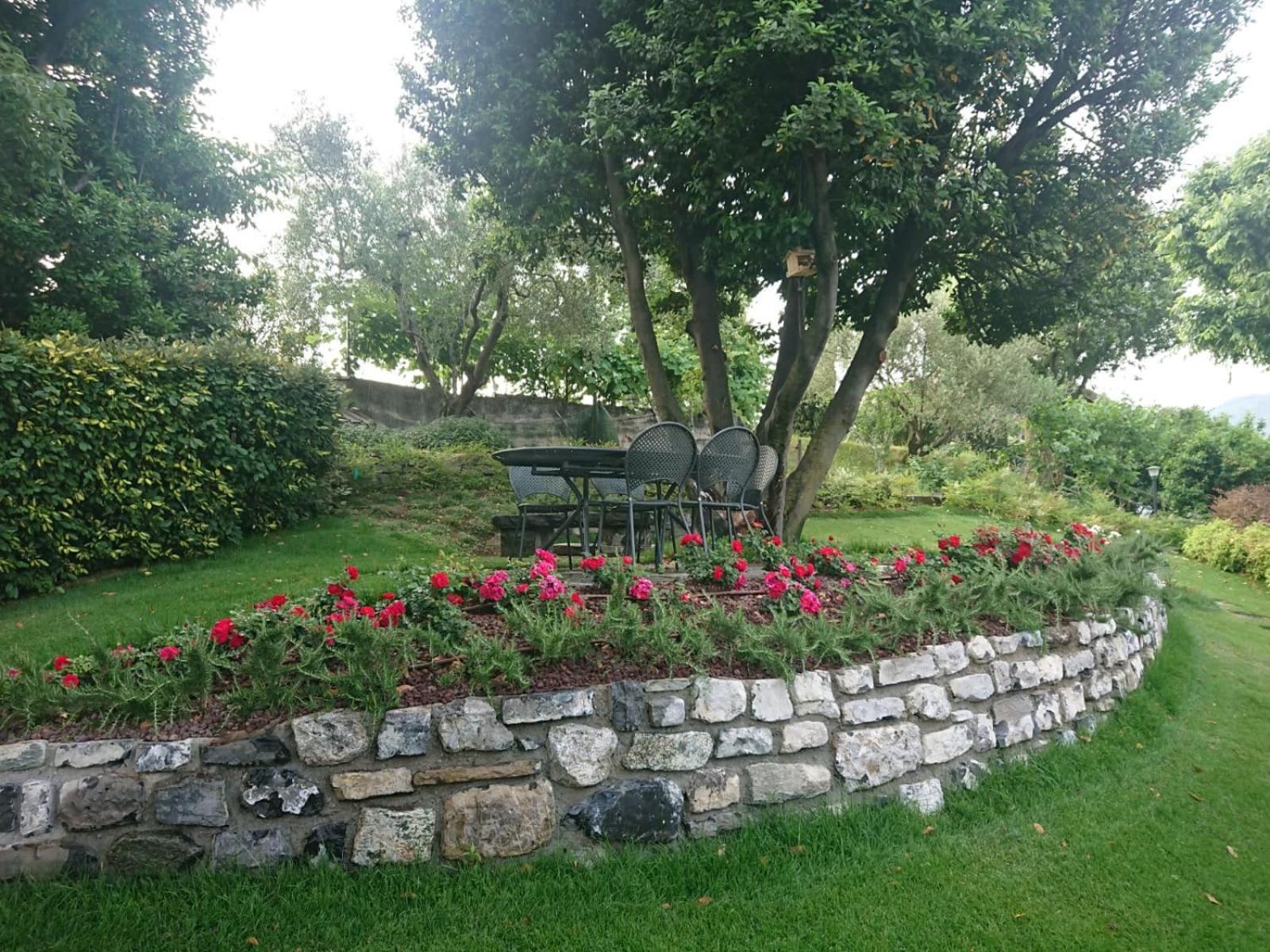 Villa Primula photo 3