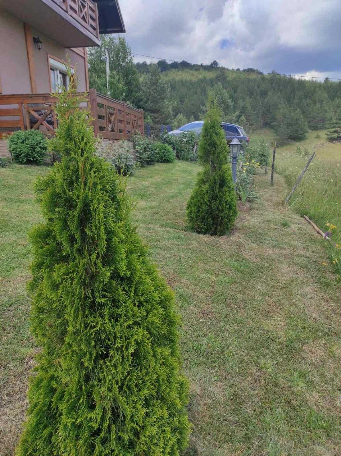 Photo 28