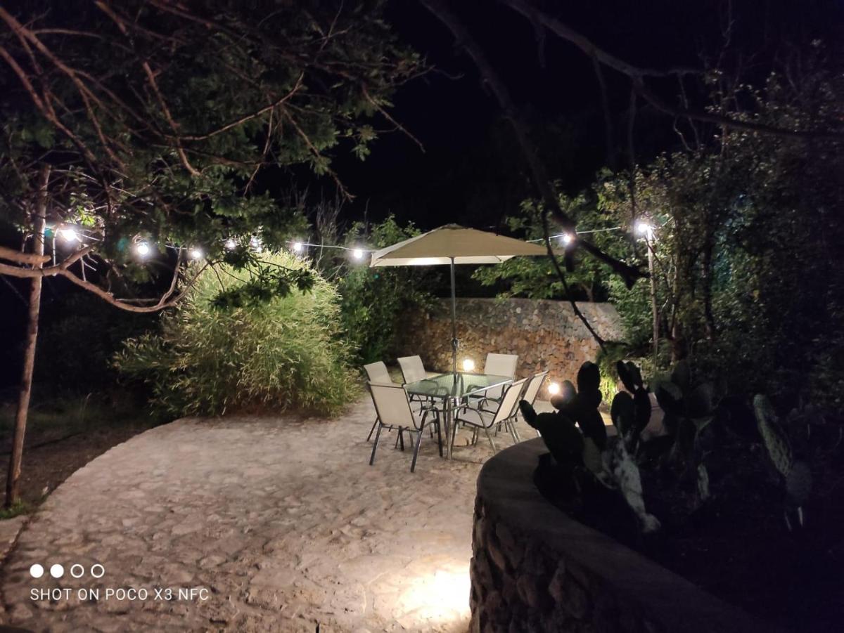 Bilocale zona porto con porzione di giardino distaccata ad uso privato photo 1