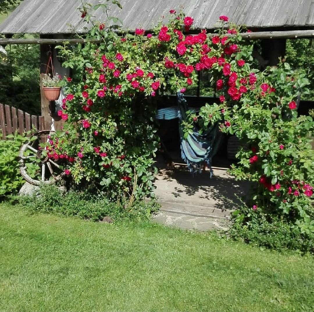 Photo 33