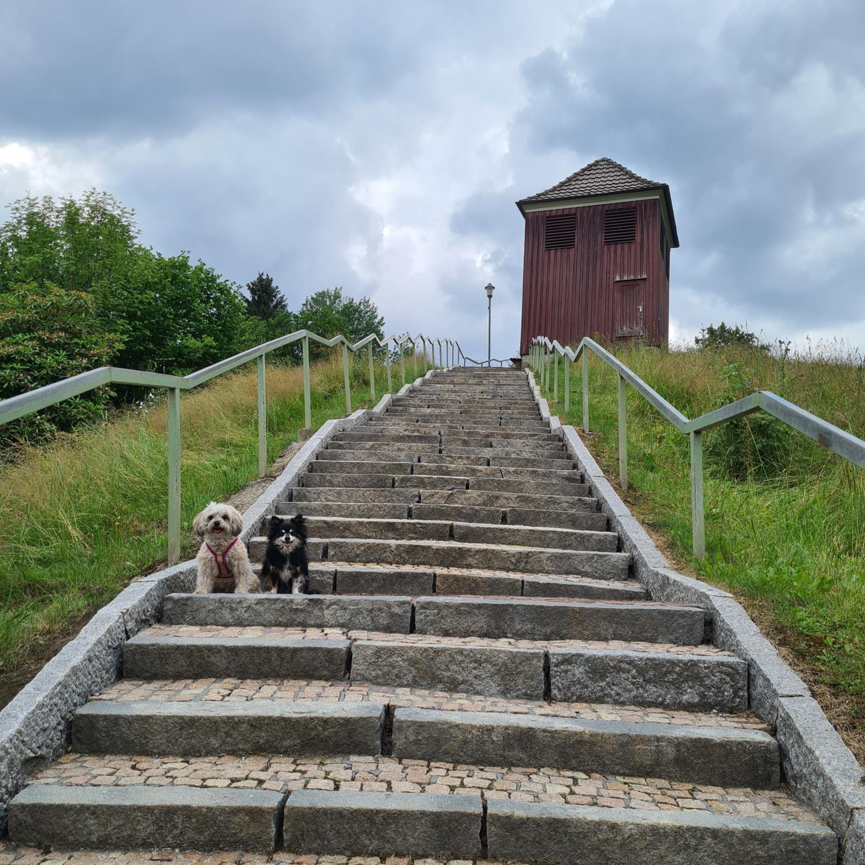 Photo 21