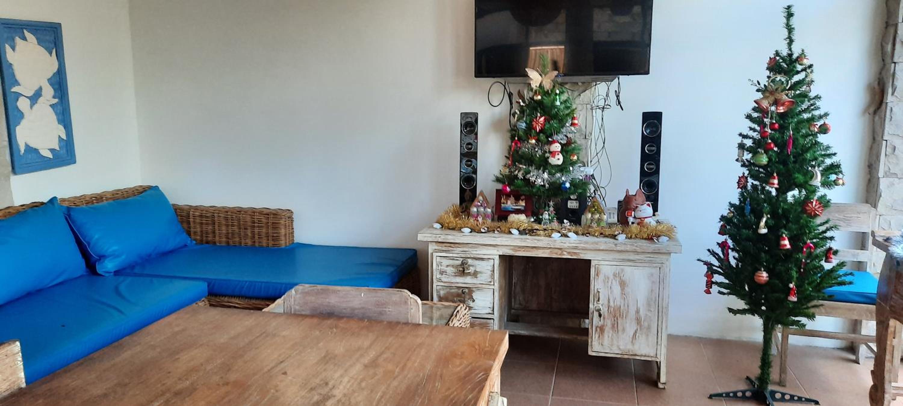 Turtle Island Homestay view 2