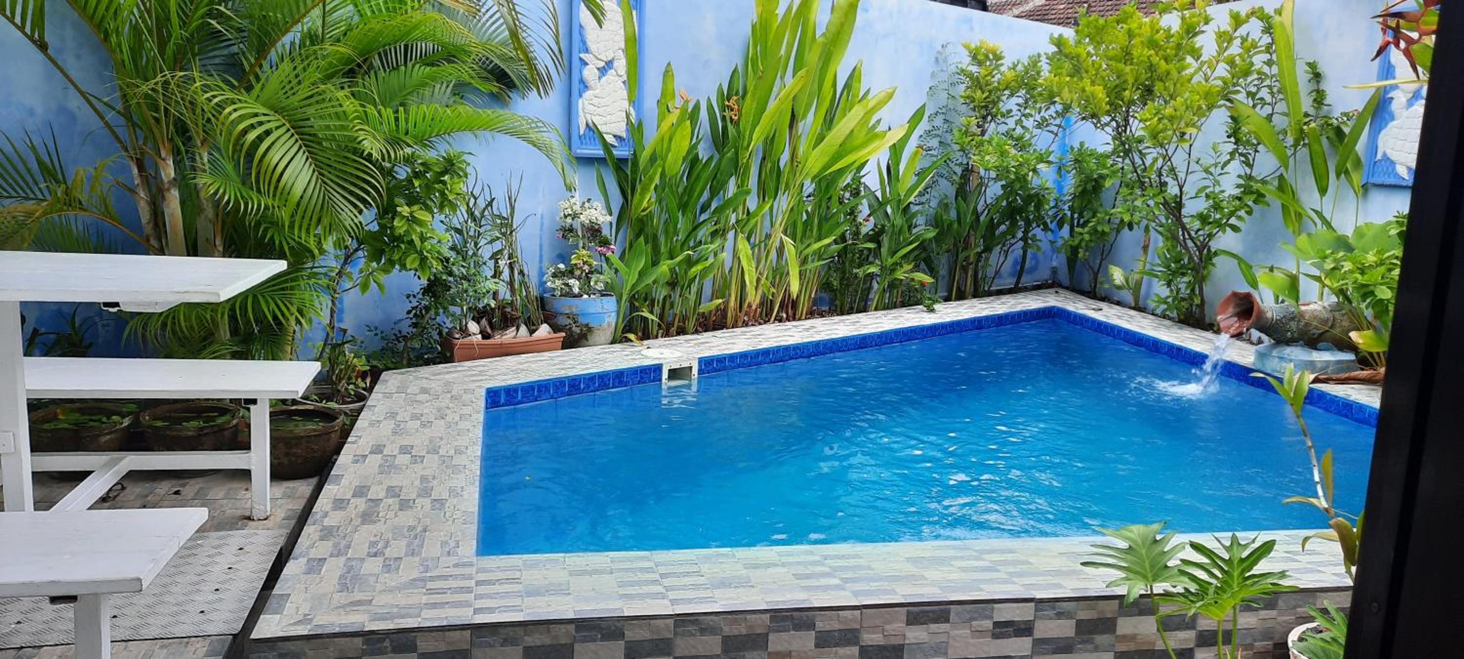 Turtle Island Homestay view 3
