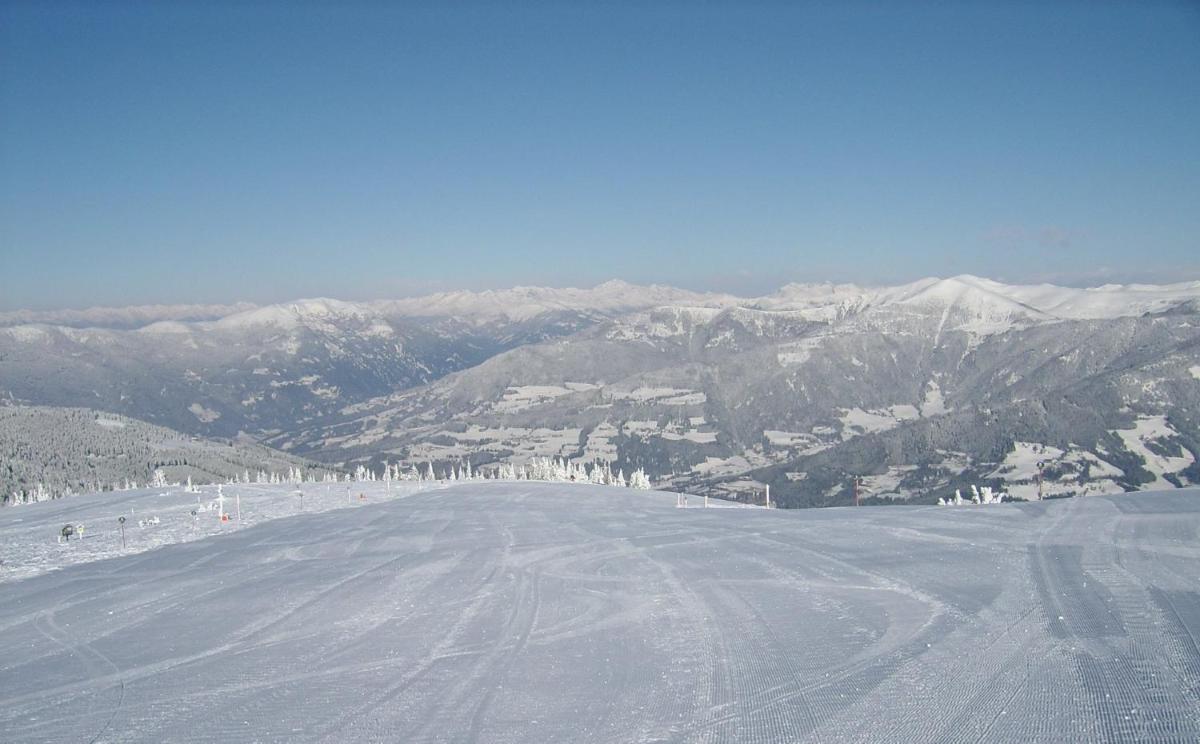 APARTMENT WALD - im Skigebiet Gerlitzen & Ossiacher See