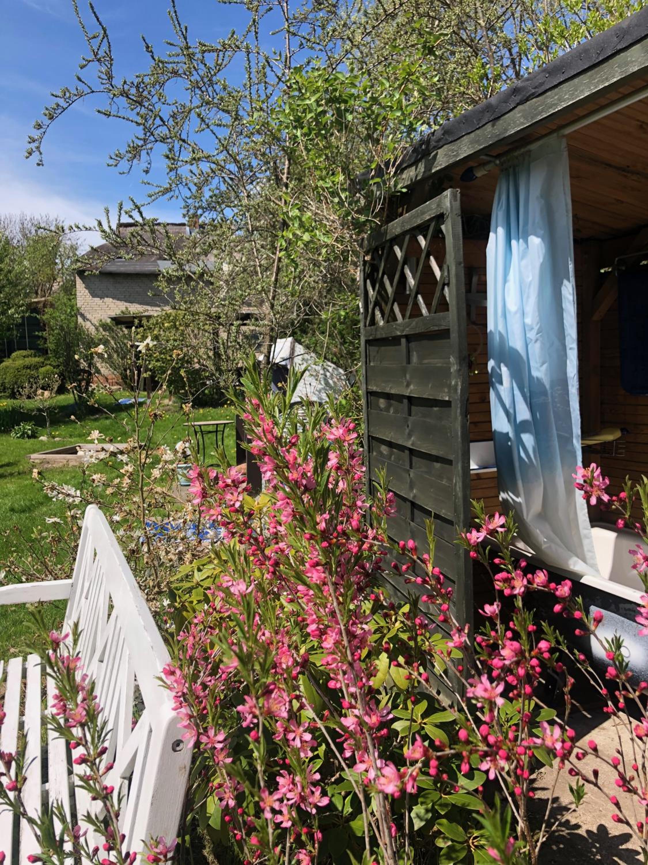 Alte Kate mit Bau-& Zirkuswagen im Gartenidyll in Putbus OT Kasnevitz
