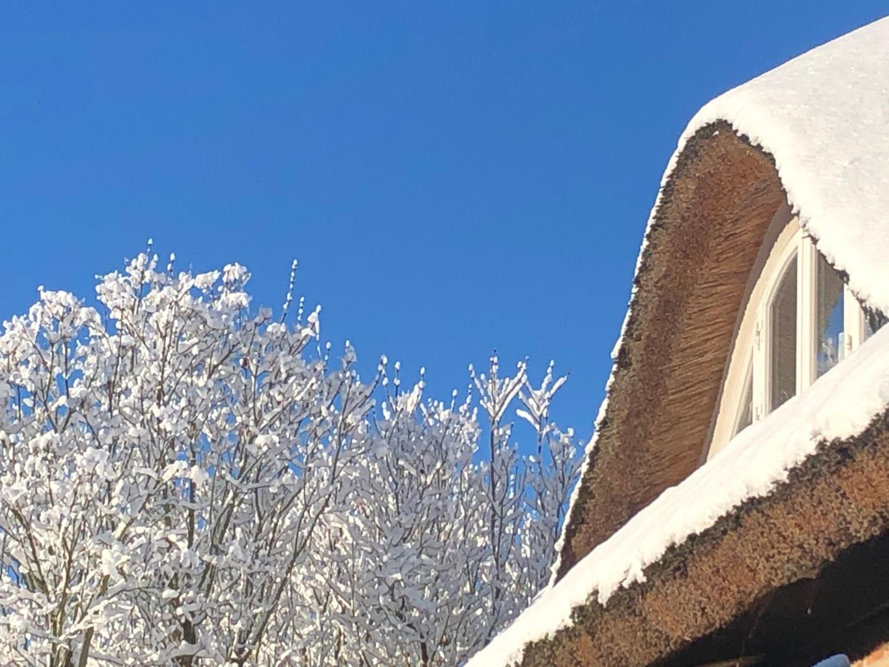 Alte Kate mit Bau-& Zirkuswagen im Gartenidyll in Putbus OT Kasnevitz