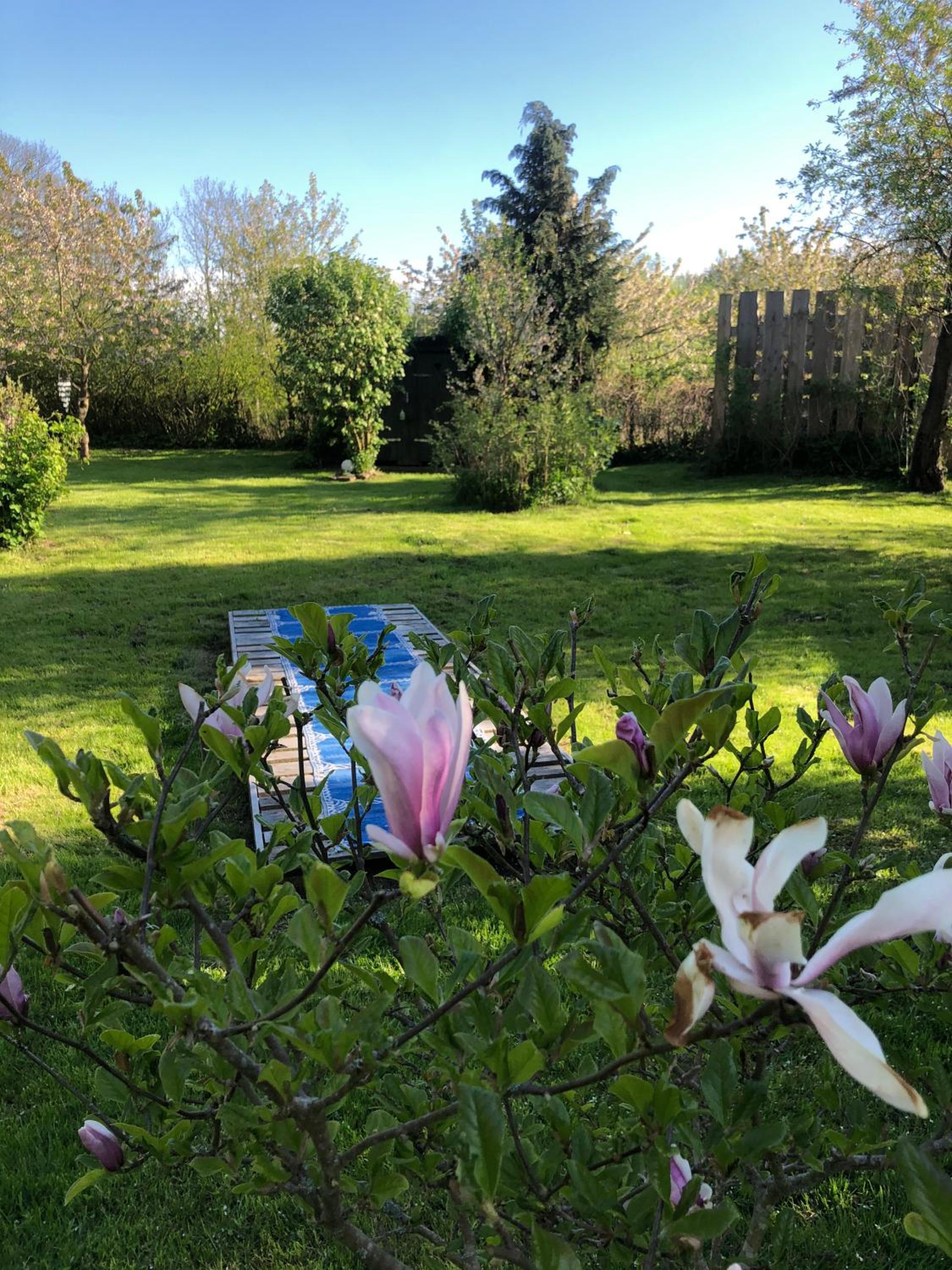 Alte Kate mit Bau-& Zirkuswagen im Gartenidyll in Putbus OT Kasnevitz