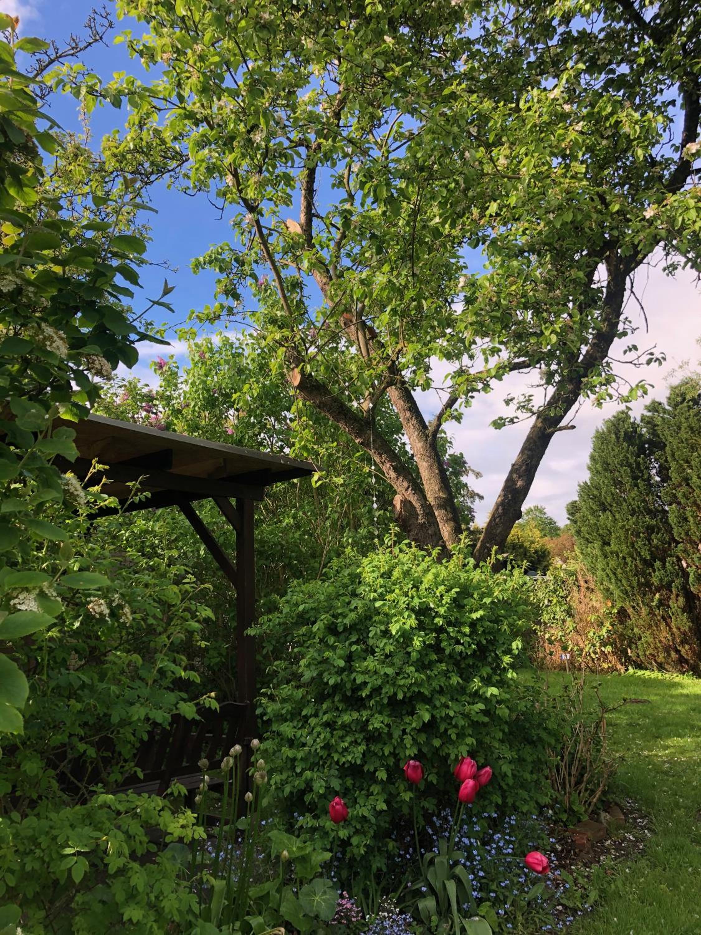 Alte Kate mit Bau-& Zirkuswagen im Gartenidyll in Putbus OT Kasnevitz