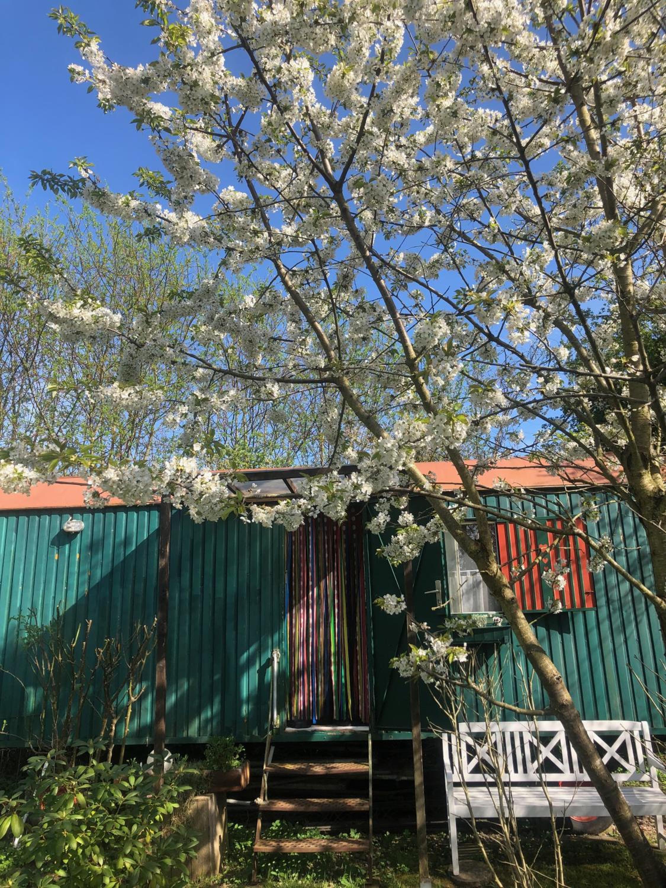 Alte Kate mit Bau-& Zirkuswagen im Gartenidyll in Putbus OT Kasnevitz