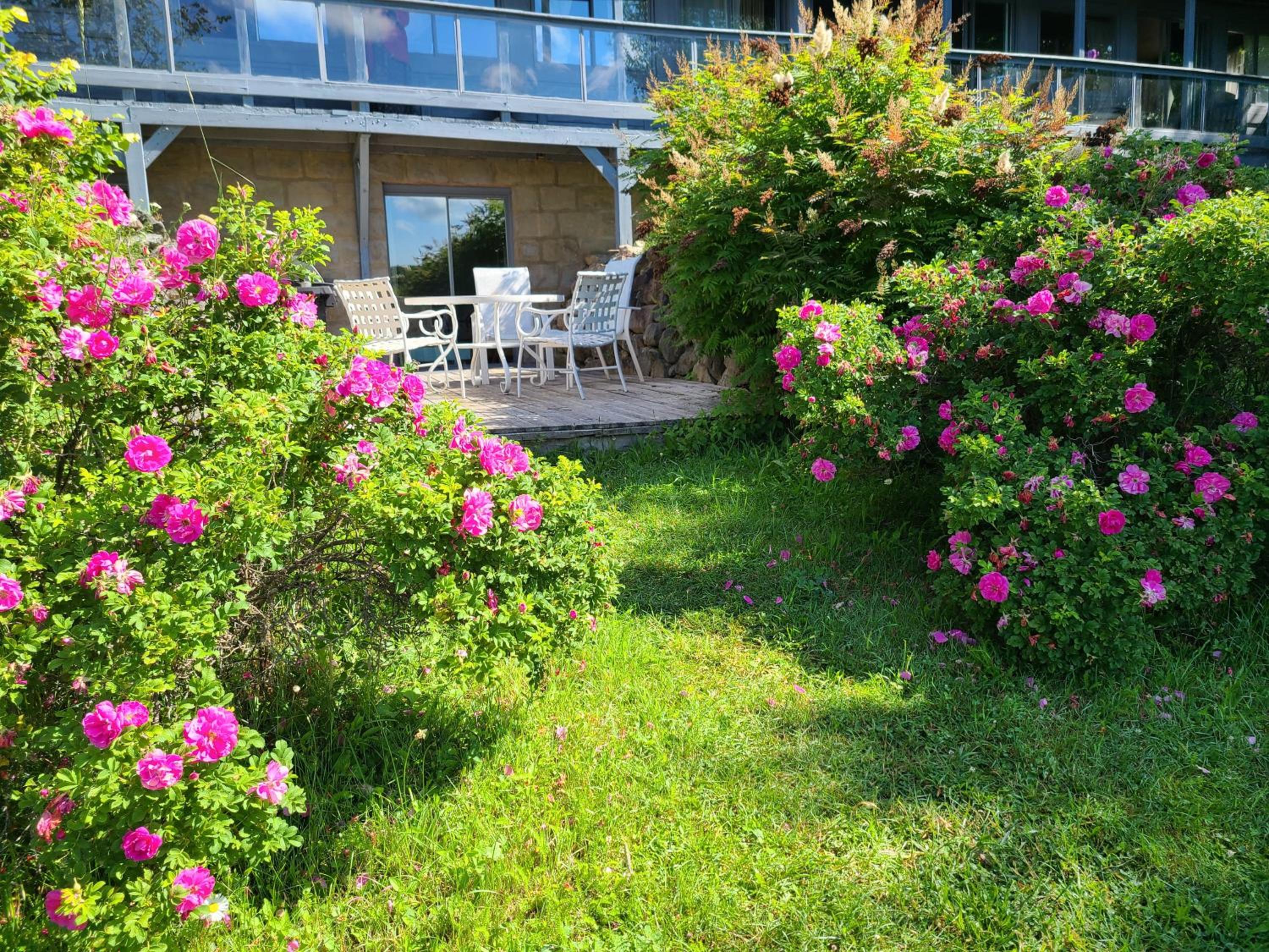 Le Lodge du lac