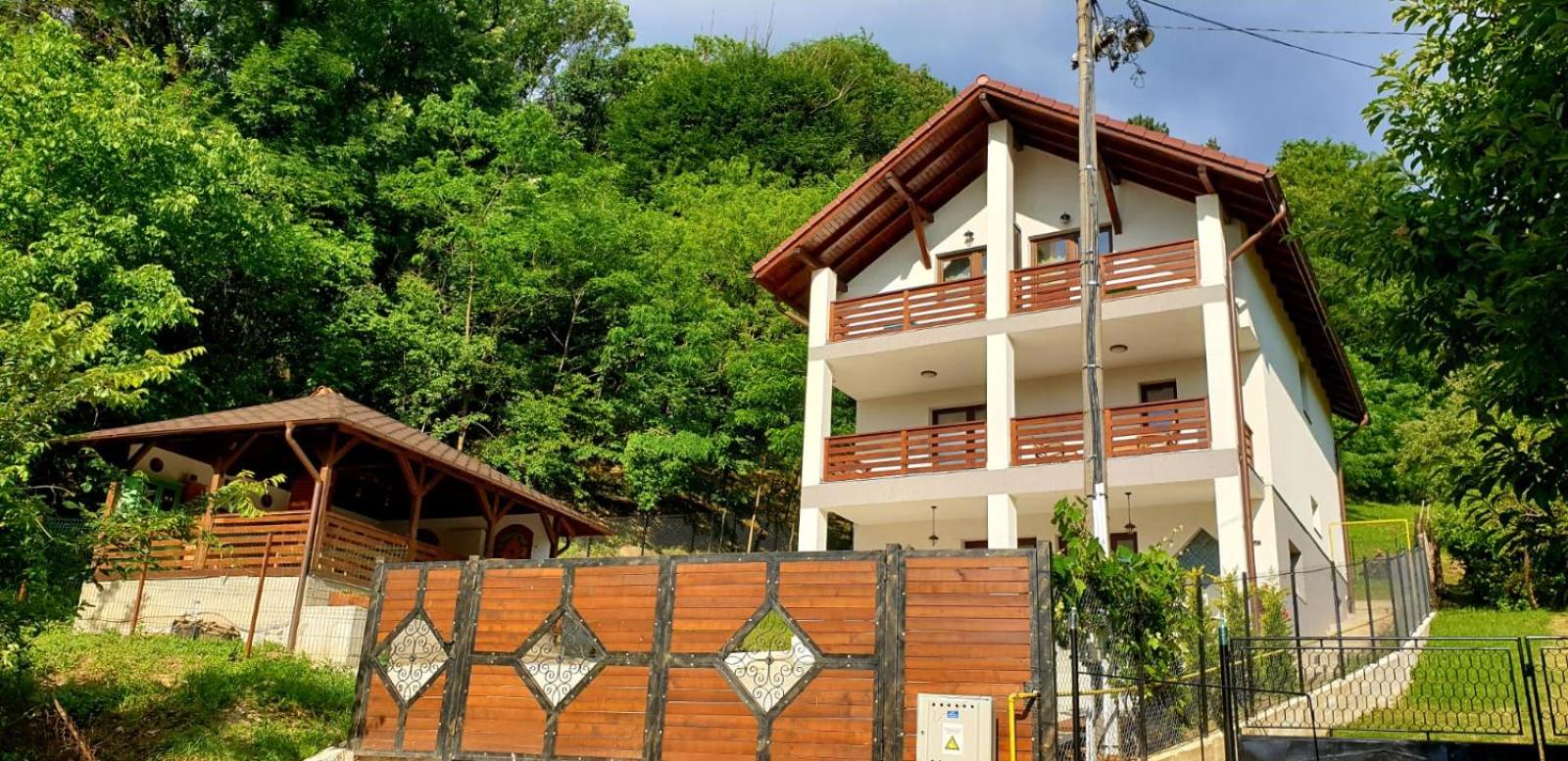 Casa Albinuța