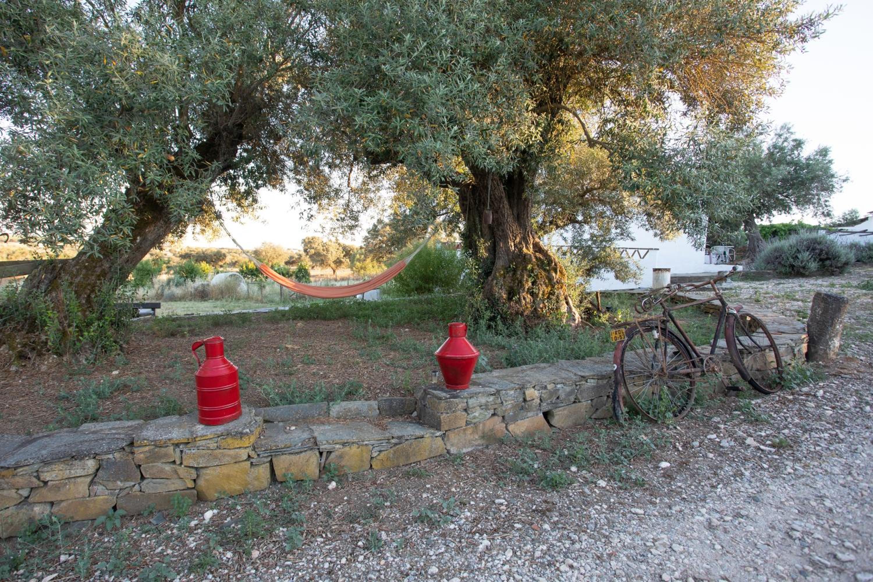 Photo 28