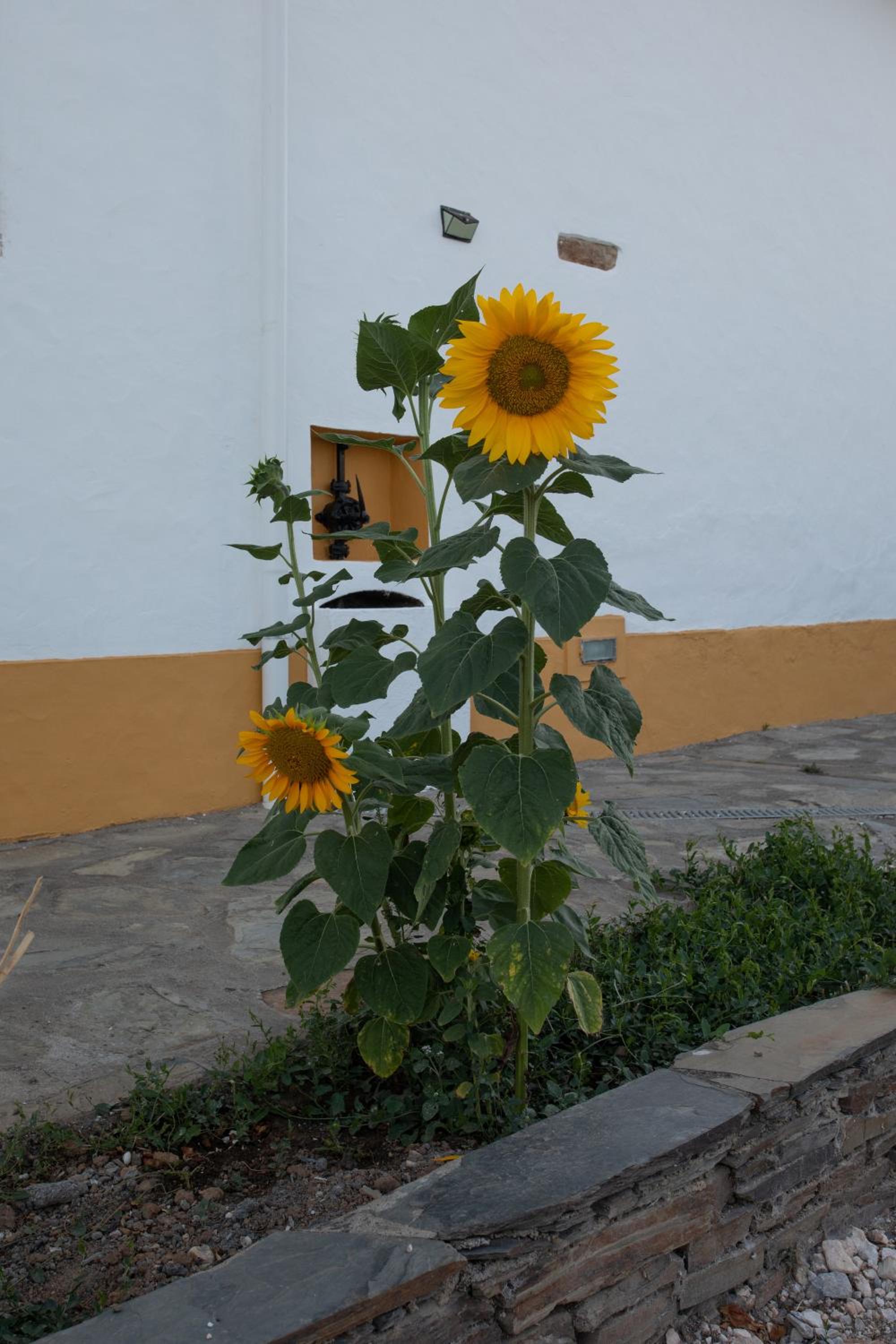 Photo 57