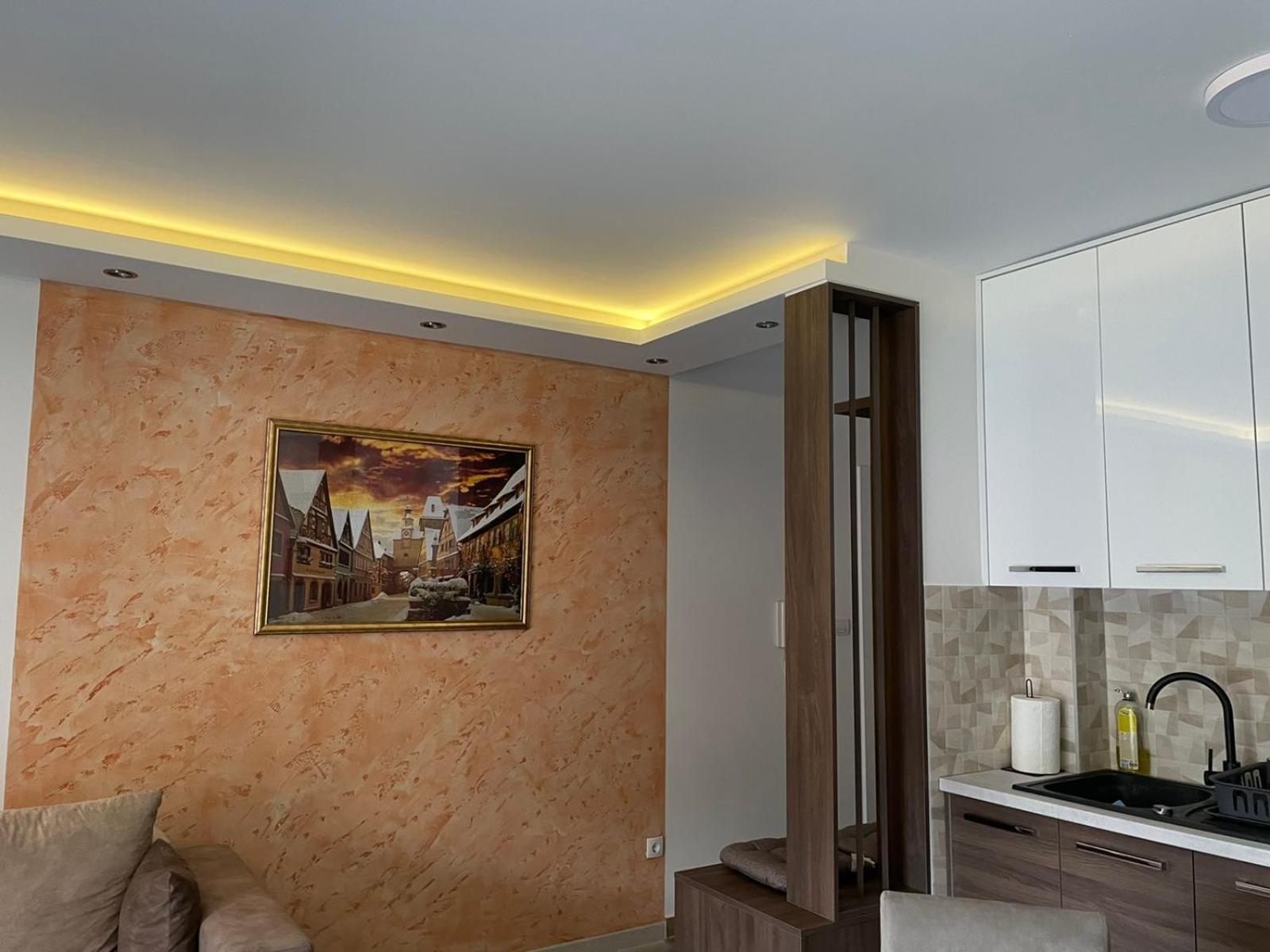 Vukov Apartman view 4