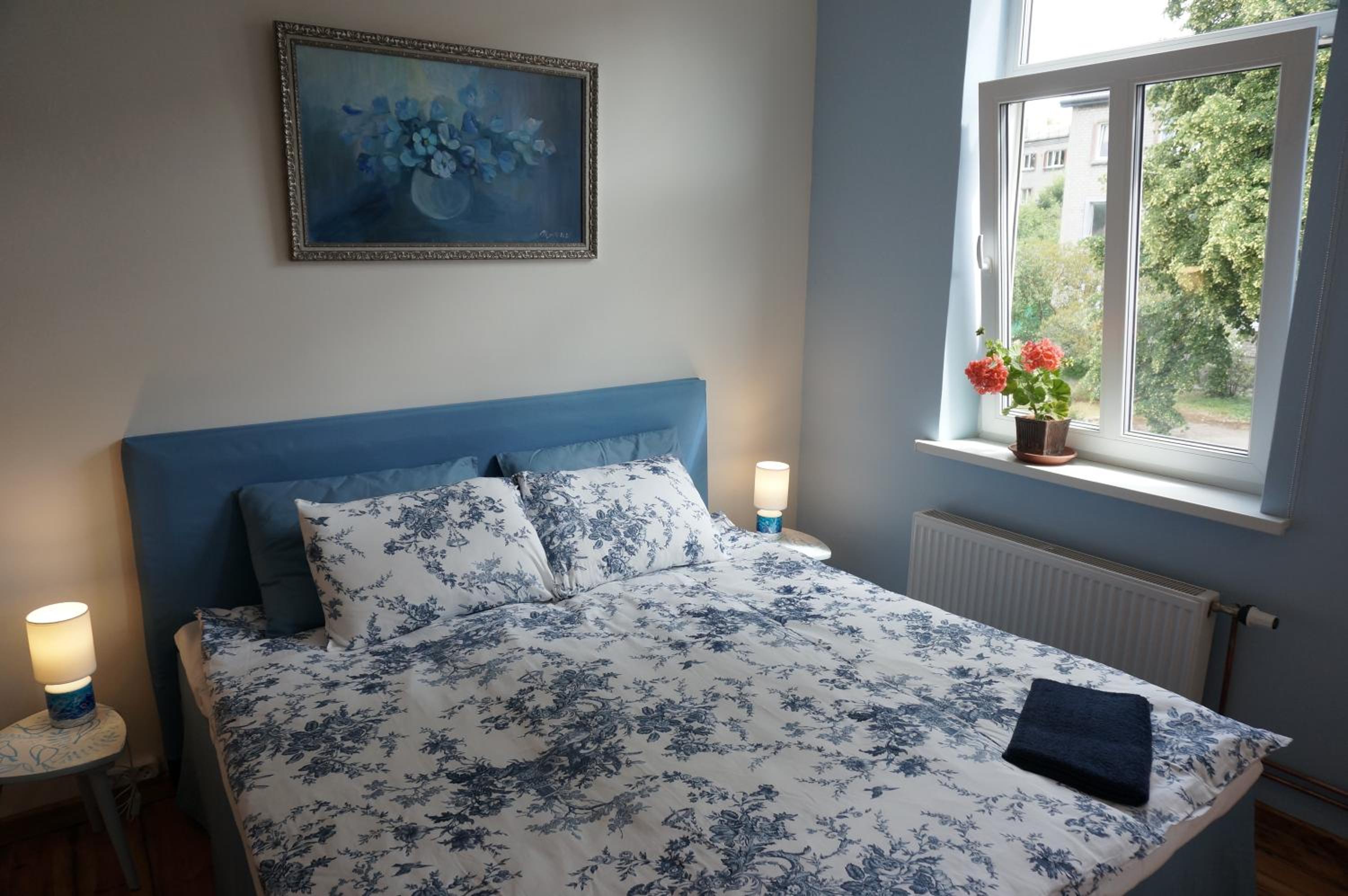 Bluebird Apartment view 2