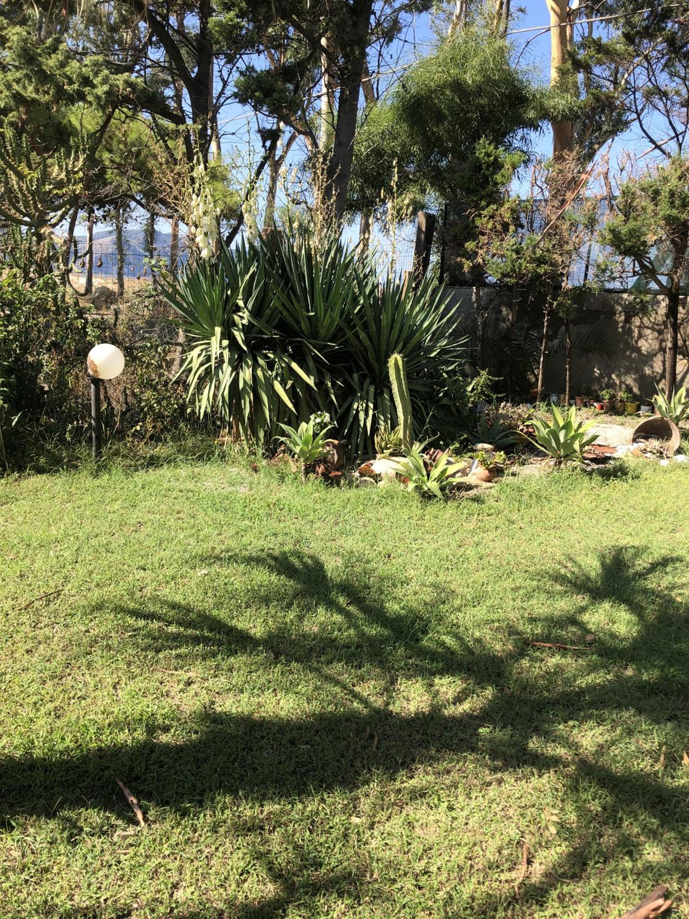 Photo 38