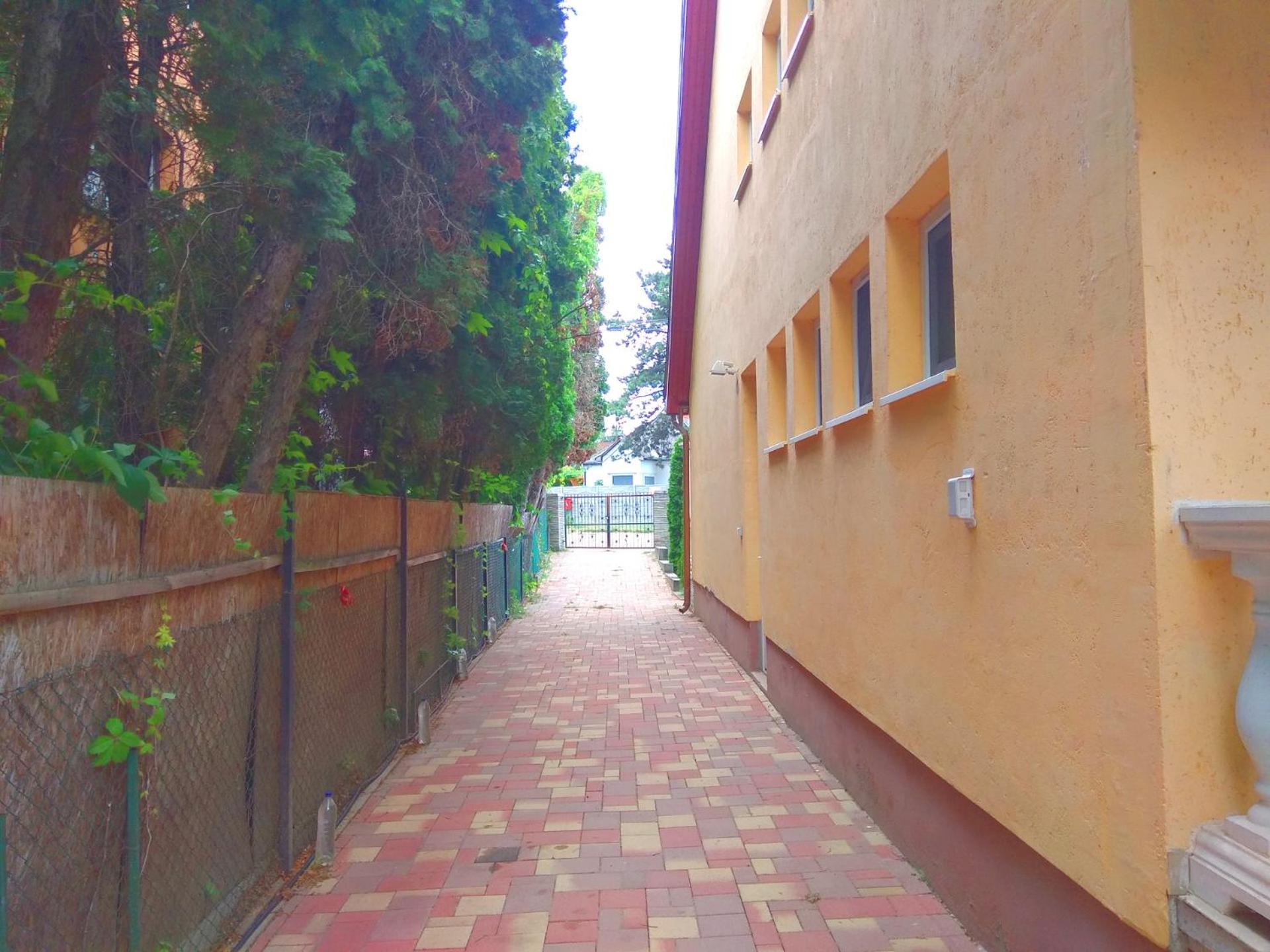 Photo 42