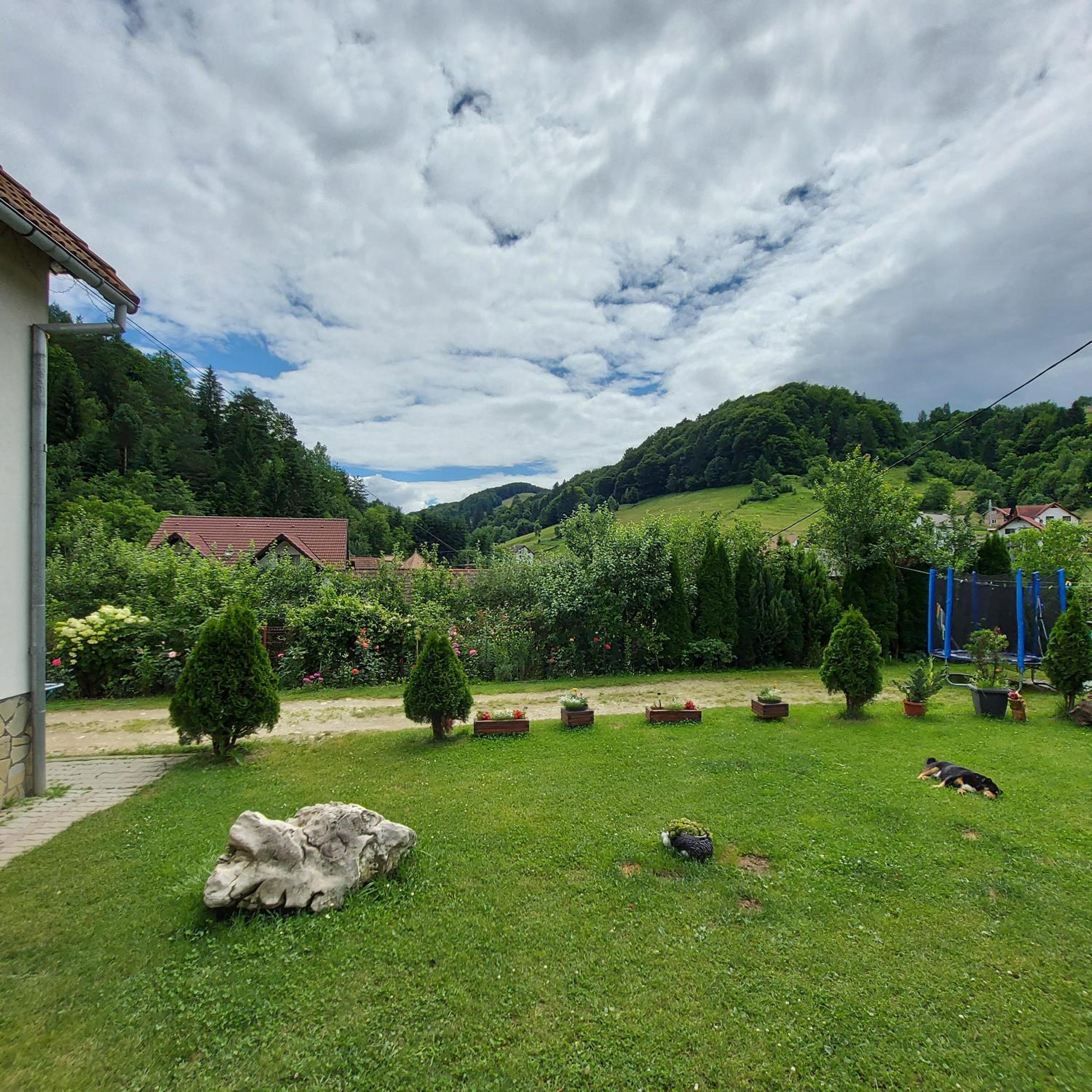 Photo 25