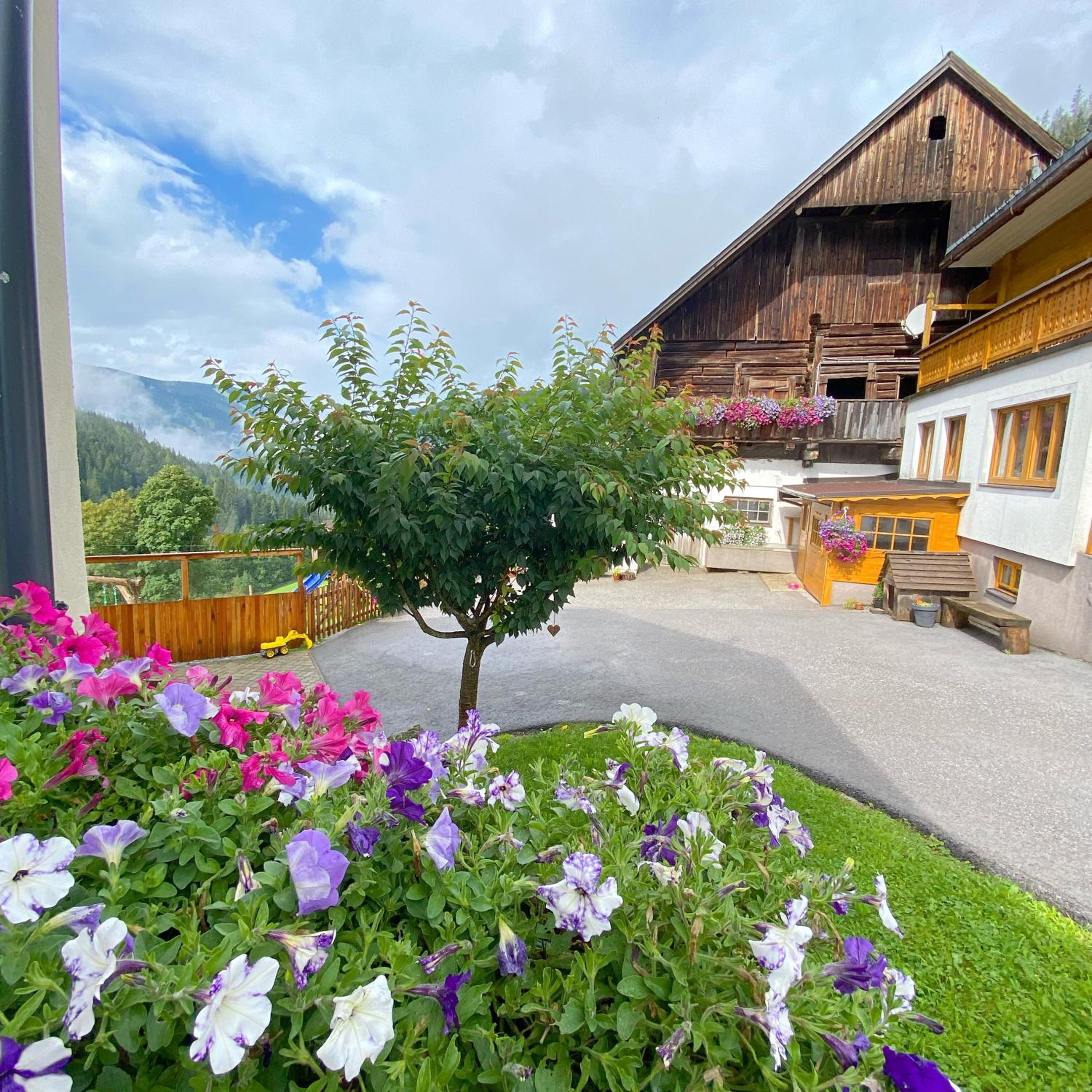 Bio-Bauernhof Grundlehnerhof