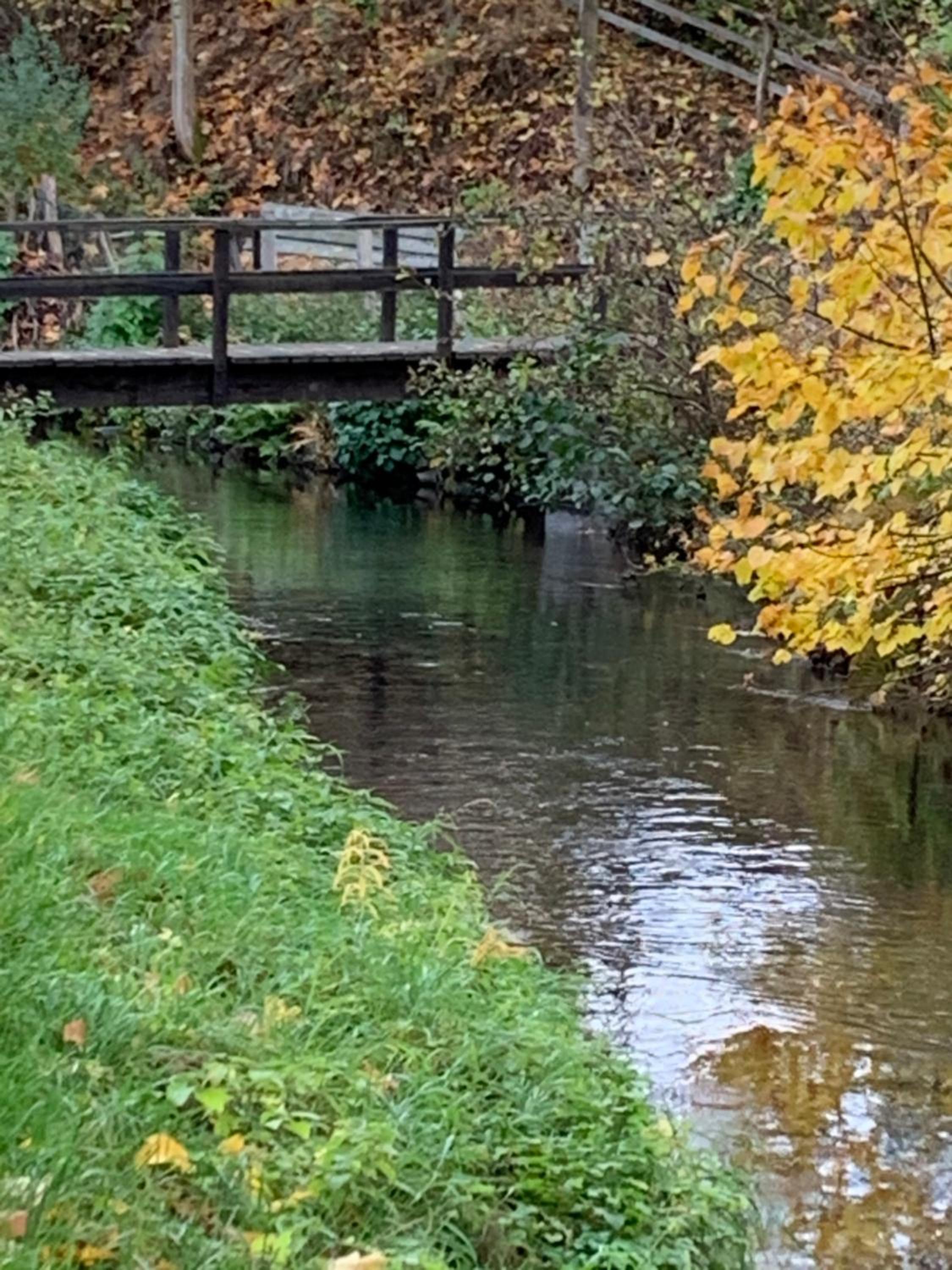Pino24 Ferienwohnungen mit Pool und Sauna