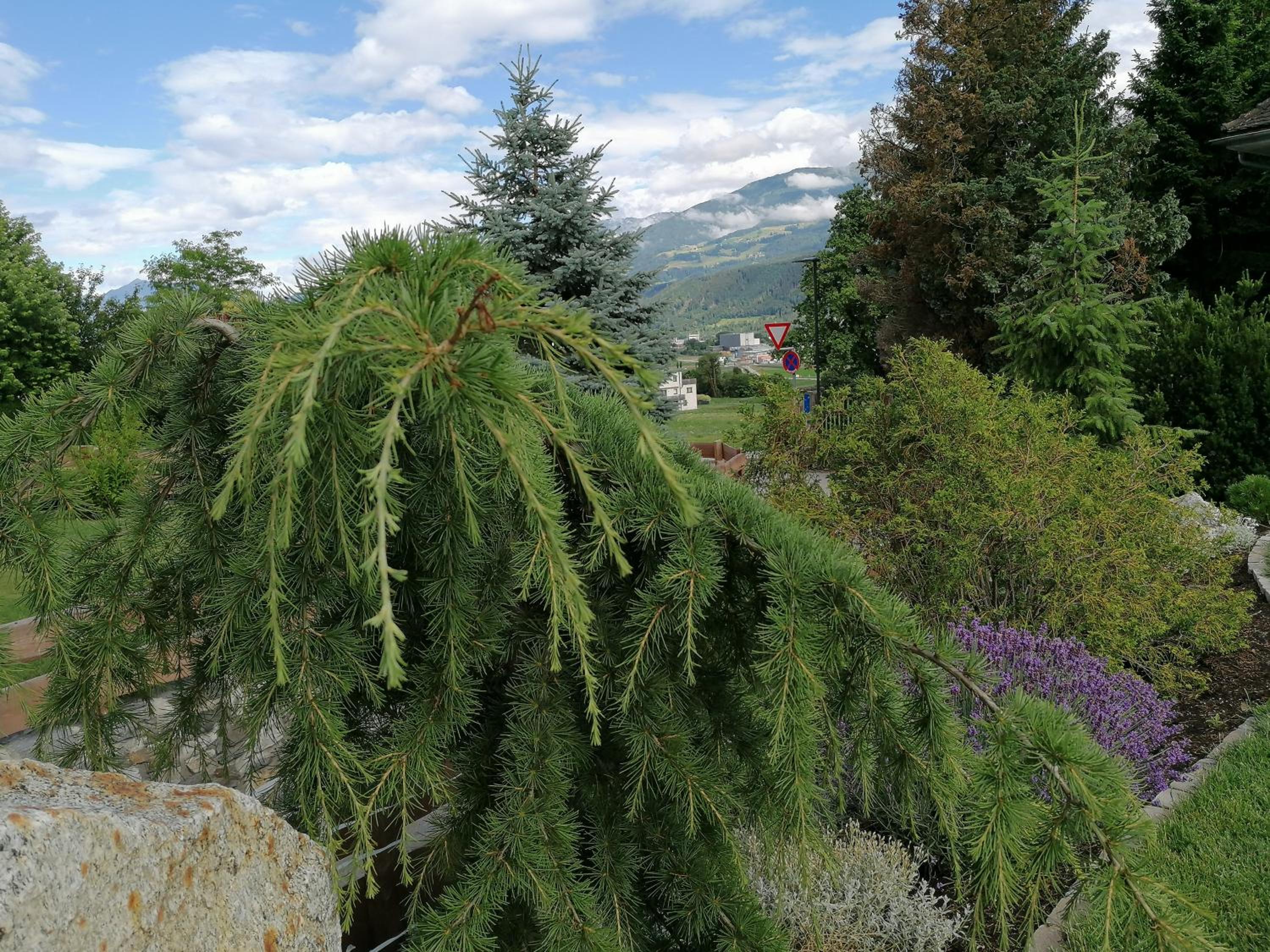 Landhaus Plainer view 3