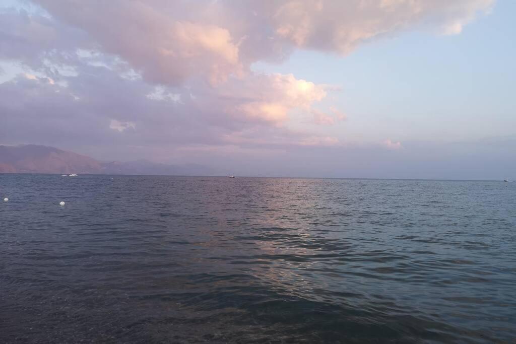 Villa Cilento Mare, bellissima con ampio giardino photo 3