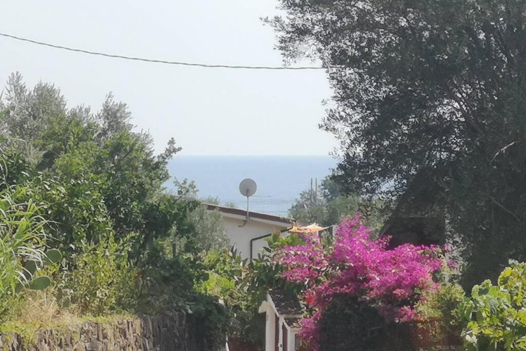 Villa Cilento Mare, bellissima con ampio giardino photo 5