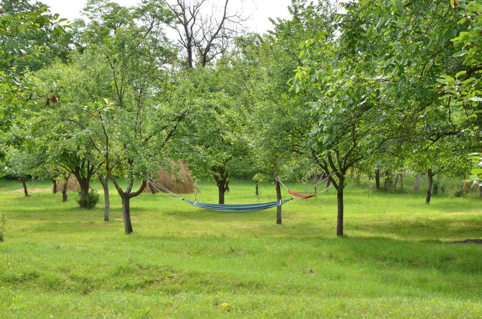 Casa rurală cu livadă LavAndra